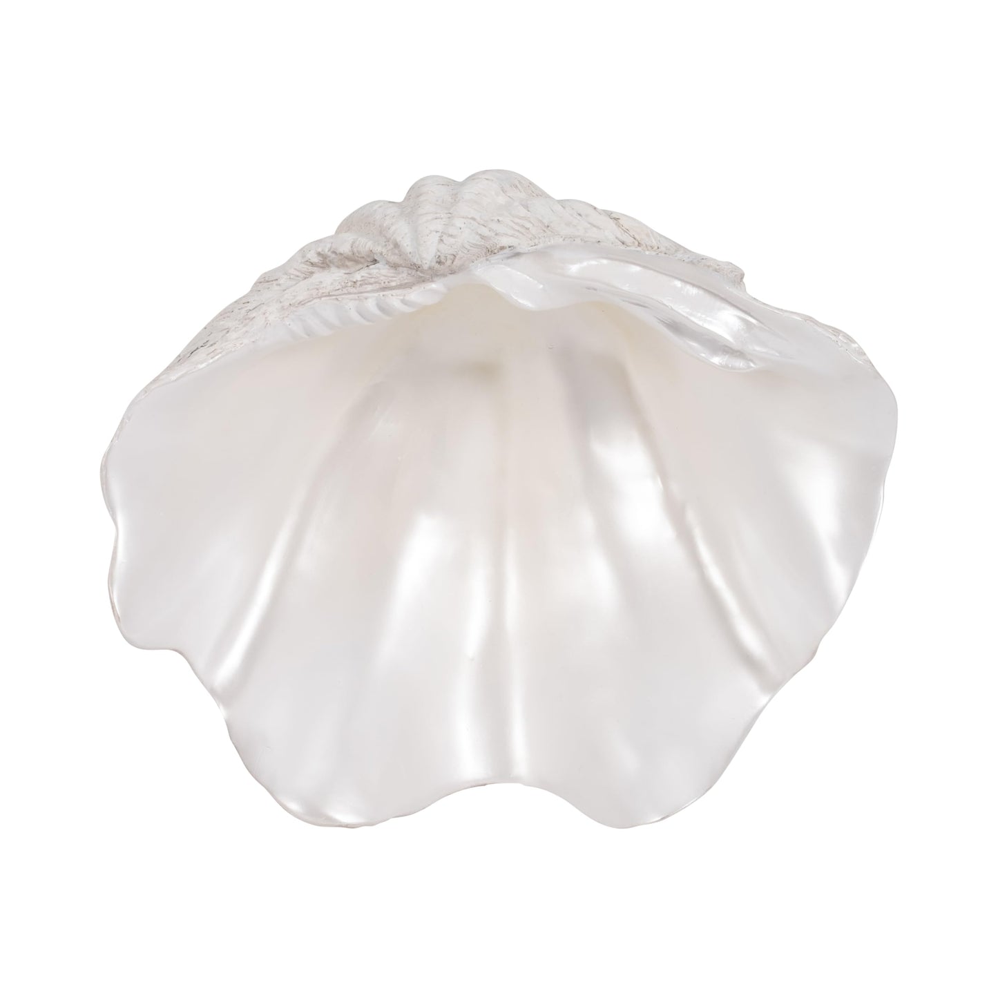 Textured Shell Decorative Bowl for Coffee Centerpiece Table Accent - Wavy Edge Design for Home, Kitchen Counter, or Catchall Dish - Coastal Basin for Key and Candy Bowl - 5", Ivory & Tan