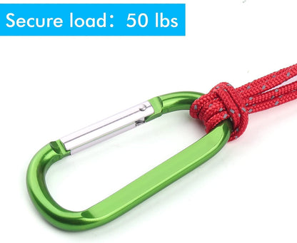 CampTek 6PCS Carabiner Caribeaner Clip,3" Large Aluminum D Ring Shape Carabeaner Keychain Hook