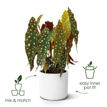 elho B.for Soft Round 25 - Indoor Plant Pot - 100% Recycled Plastic - Ø 24.7 x H 23.3 cm - White/White