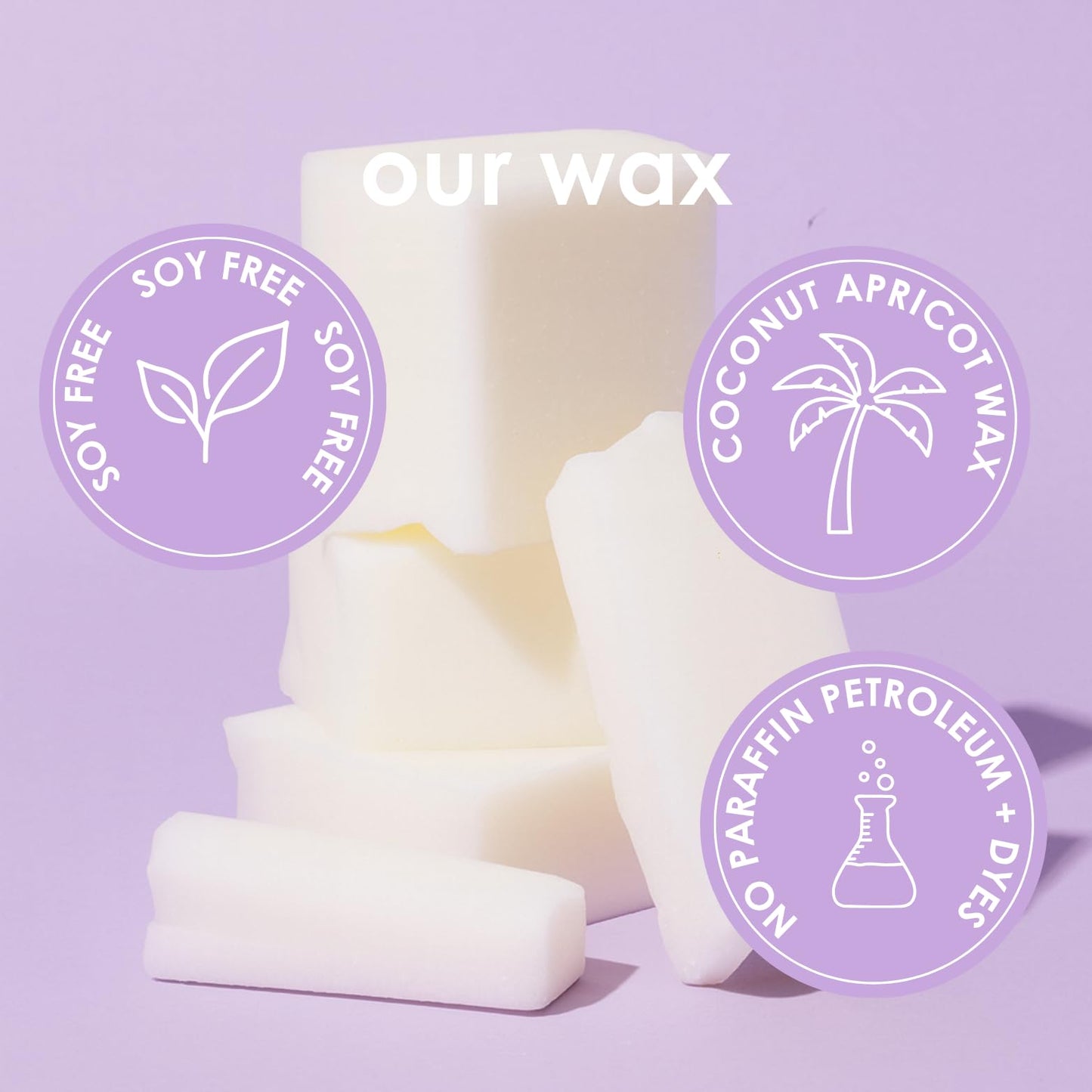 Pet Safe Candle for Dogs | Non Toxic Coconut Apricot Wax Candle | Clean Burning, Paraffin-Free | Pet Odor Eliminating Home Fragrance | Harvest Howls | 4 oz