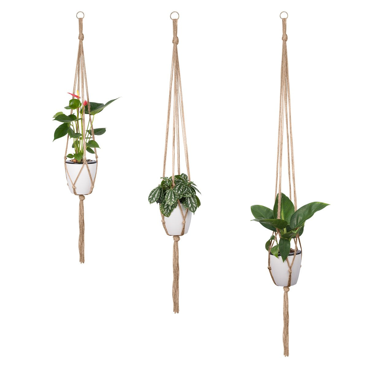 Petutu Plant Hangers Indoor Macrame Hanging Planter Holder 6 Pack, 3 Sizes