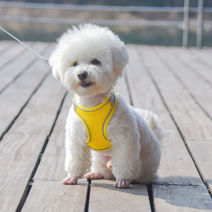 Small Dog Harness and Leash Set, No-Pull Puppy Harness for Outdoor Walking, Breathable Mesh Reflective Cats Vest for XXS Xs Small Medium Breed Pet Dogs, Pink S