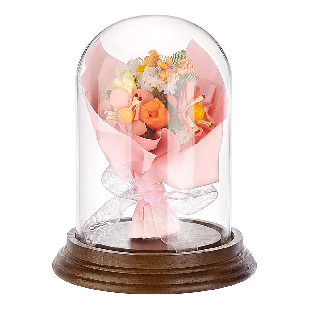PH PandaHall 4.2" x 5.5" Glass Display Dome Cloche, Clear Bell Jar Display Case Glass Dome Tabletop Centerpiece with Solid Wood Base for DIY Snow Globes Flowers Plants Birthday Home Decor, Deep Brown