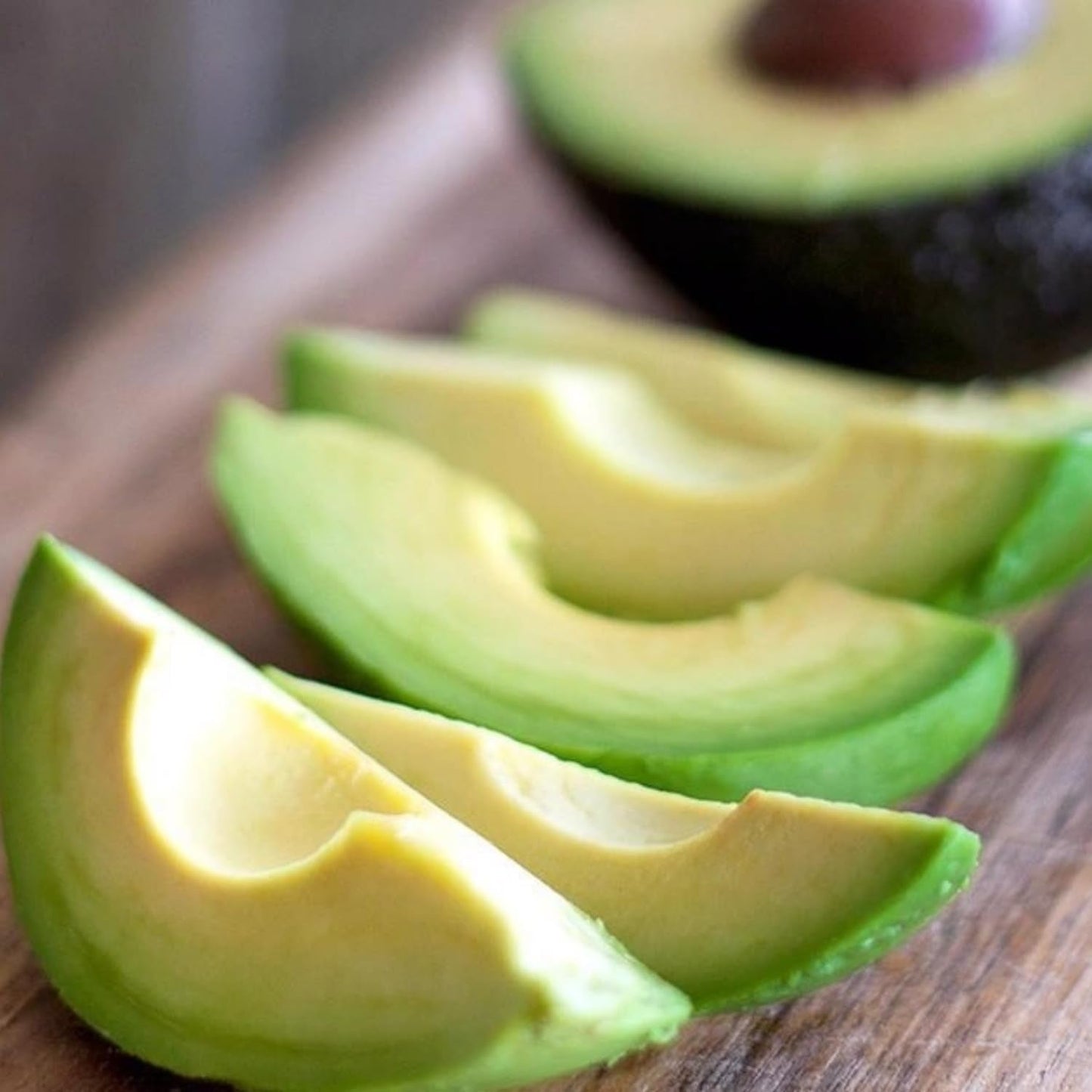 HASS Avocado Tree Live Plant, Avocado Fruit Tree 1-2 feet in 3 Gallon, Outdoor Planting, No Ship to CA