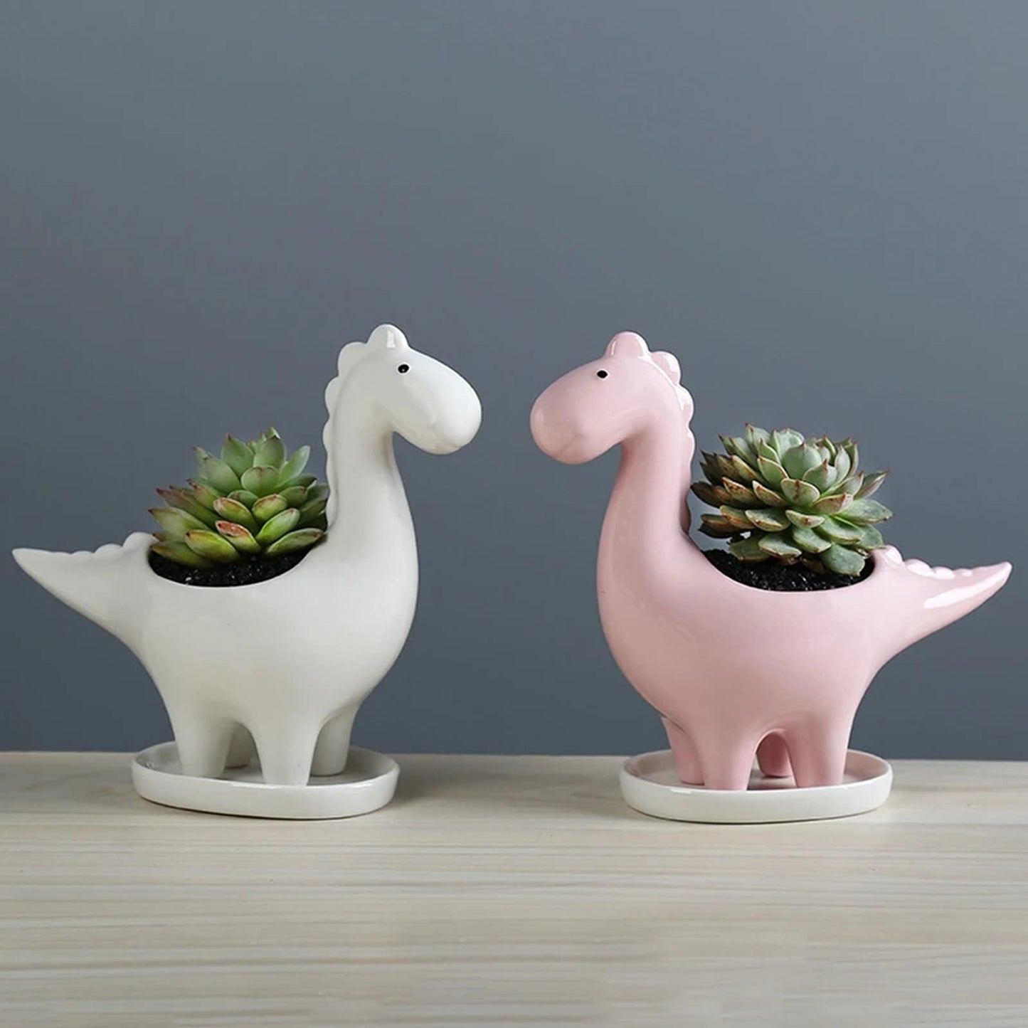 HEALT Ceramic Dragon Succulent Planter Pot with Drainage Holes, Animal Shaped Indoor Air Plants Holder, Flower Pot Cactus Container for Indoor Outdoor Desktop Decoration (Pink)