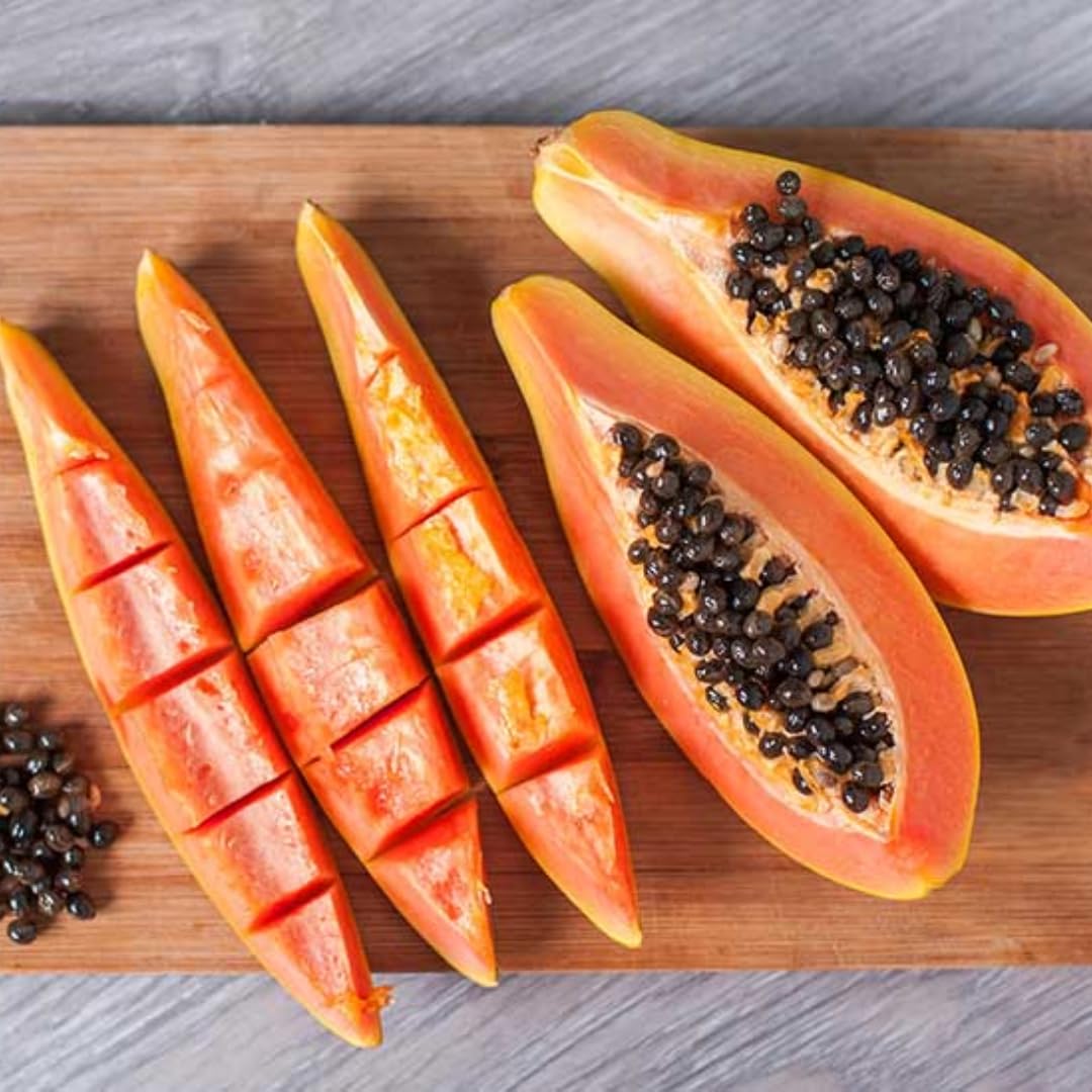 Papaya Tree Live Plant, 8 to 9 Inch Tall, Papaya Plants Live, Papaya Live Plant, Live Papaya Tree, Grow from Heirloom Seeds