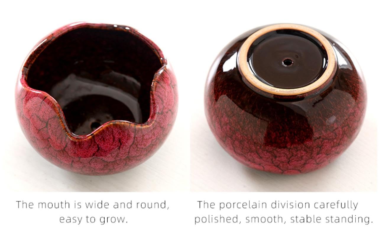 YYW Succulent Pots with Drainage Ceramic Plant Pot Indoor Small Flower Cactus Pots with Tree Tier Bamboo Stand Shallow Planter for Garden Windows Home Office Decor Plant Lovers Gifts