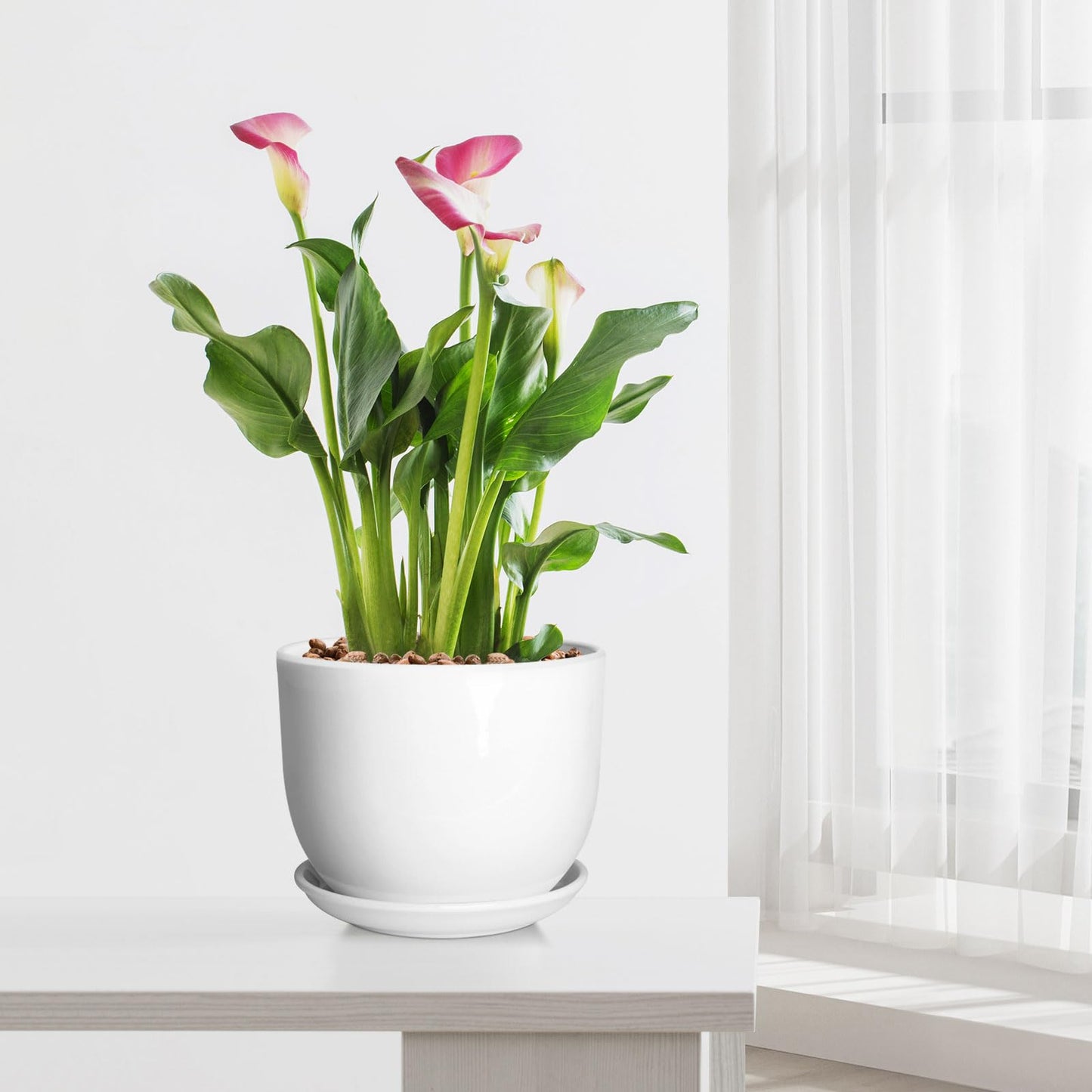YUFDA Ceramic Plant Pots,White 5.5 Inch Flower Pots for Plants,Ceramic Planter with Drainage Holes,Indoor Planter Pots with Saucer,Outdoor Garden Pots (White, 4 Pack)