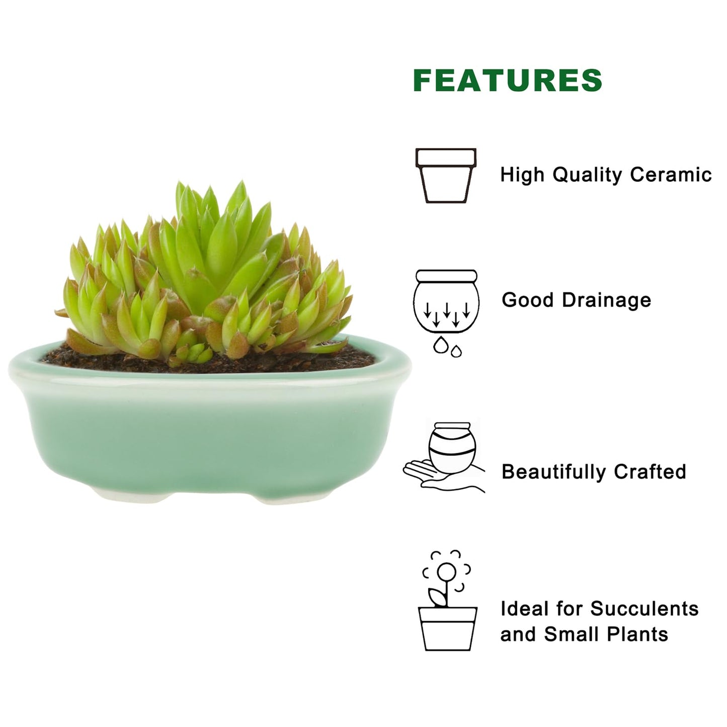 Bonsai Planter Succulent 3.7-3.9" (9-10cm) Mini Green Pots Value Set of 2