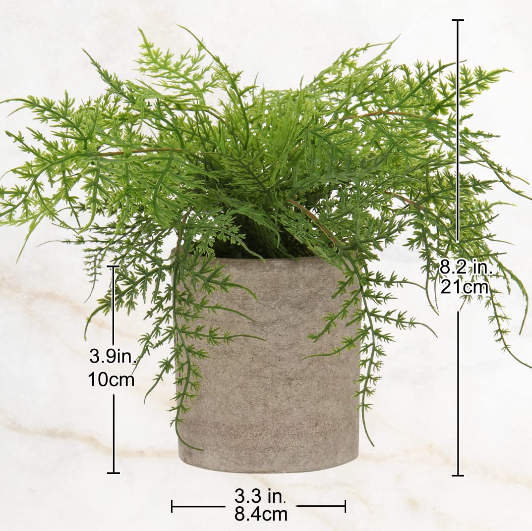 Hollyone Small Fake Plant Potted Plants Artificial Decor Silk Ferns Plant Faux Plants in Pots for Home Living Room Bedroom Desk Bathroom Window Shelf Farmhouse Decoration