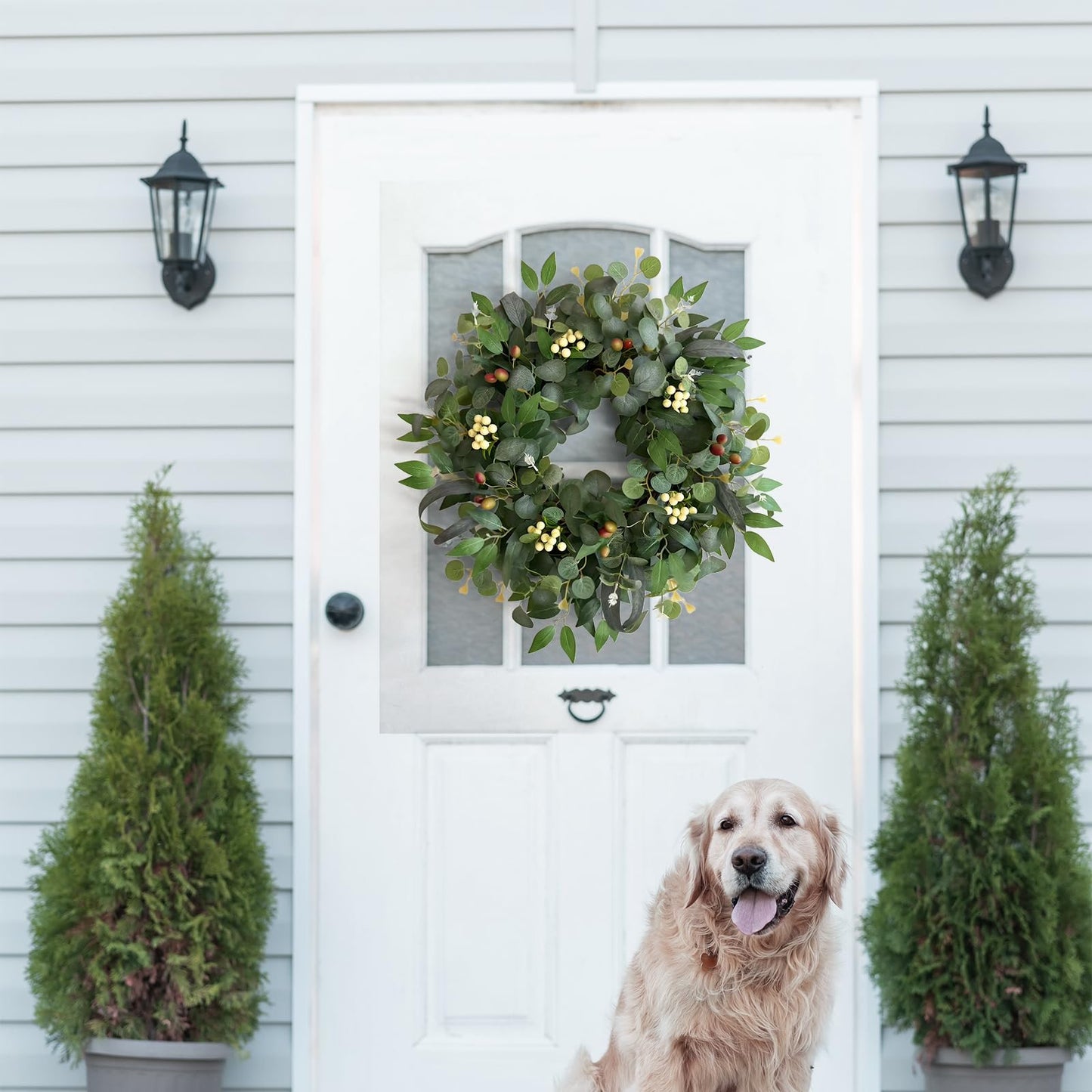 22-24" Eucalyptus Wreaths for Front Door,Spring Summer Fall Autumn Winter Wreaths,Large Eucalyptus Greenery Wreath with Olive Leaves Berries for Front Door Outdoor Farmhouse Decor All Seasons