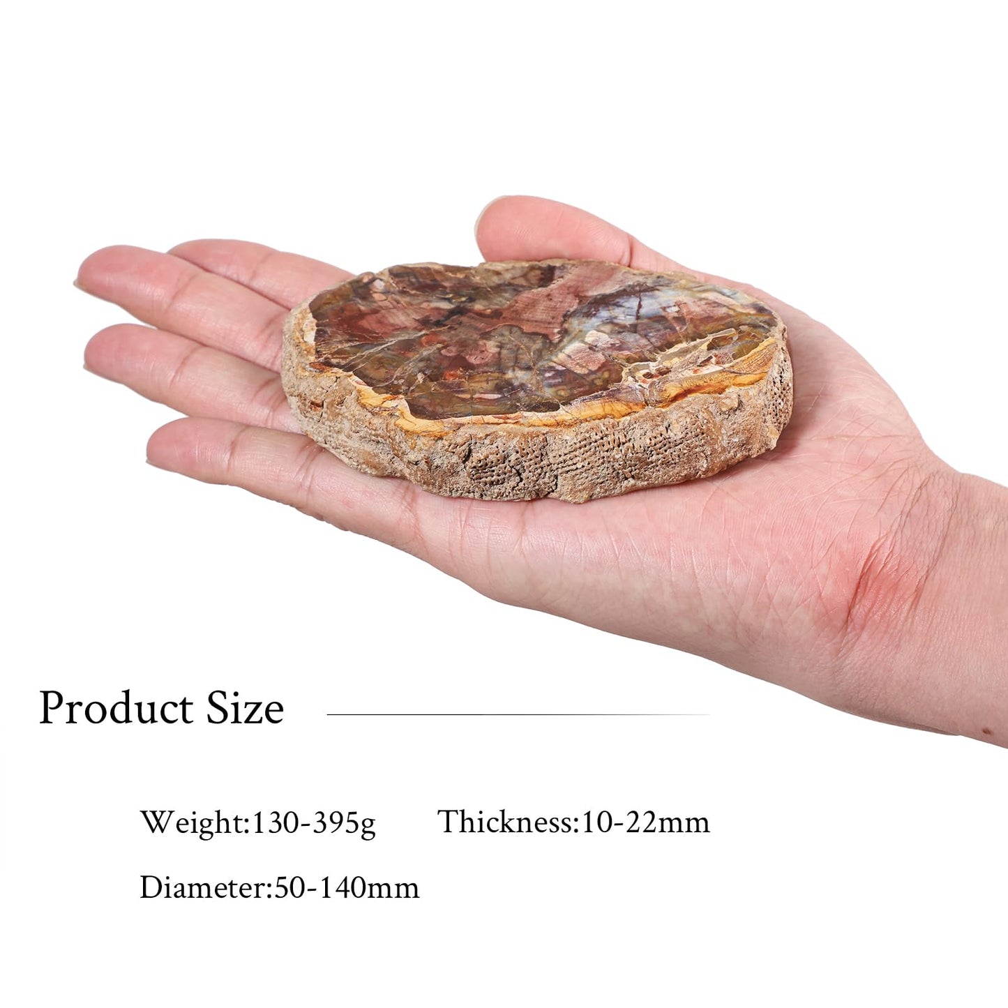 Sportmusies Natural Petrified Wood Slice Mineral Specimen Home Office Decoration, Irregular-Shaped Fossil Wood Stone Reiki Meditation, 1.96-5.51 inches