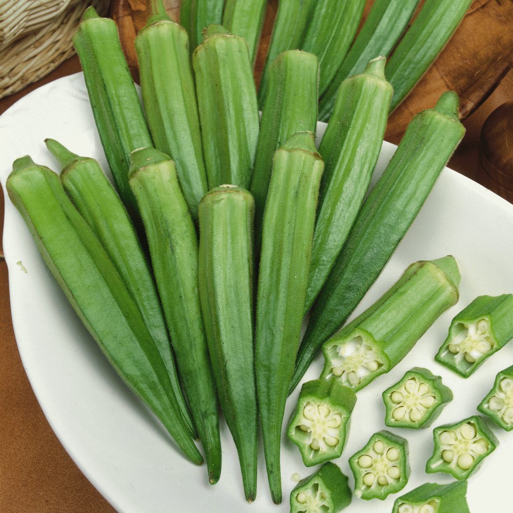 TomorrowSeeds - Clemson Spineless Okra Seeds - 1 Pound ~ 8000+ Count - for 2026 Planting USA Garden Vegetable Southern Okras Non-GMO Heirloom Grow Your Own Home Farm Patio Healthy Sustainable Living