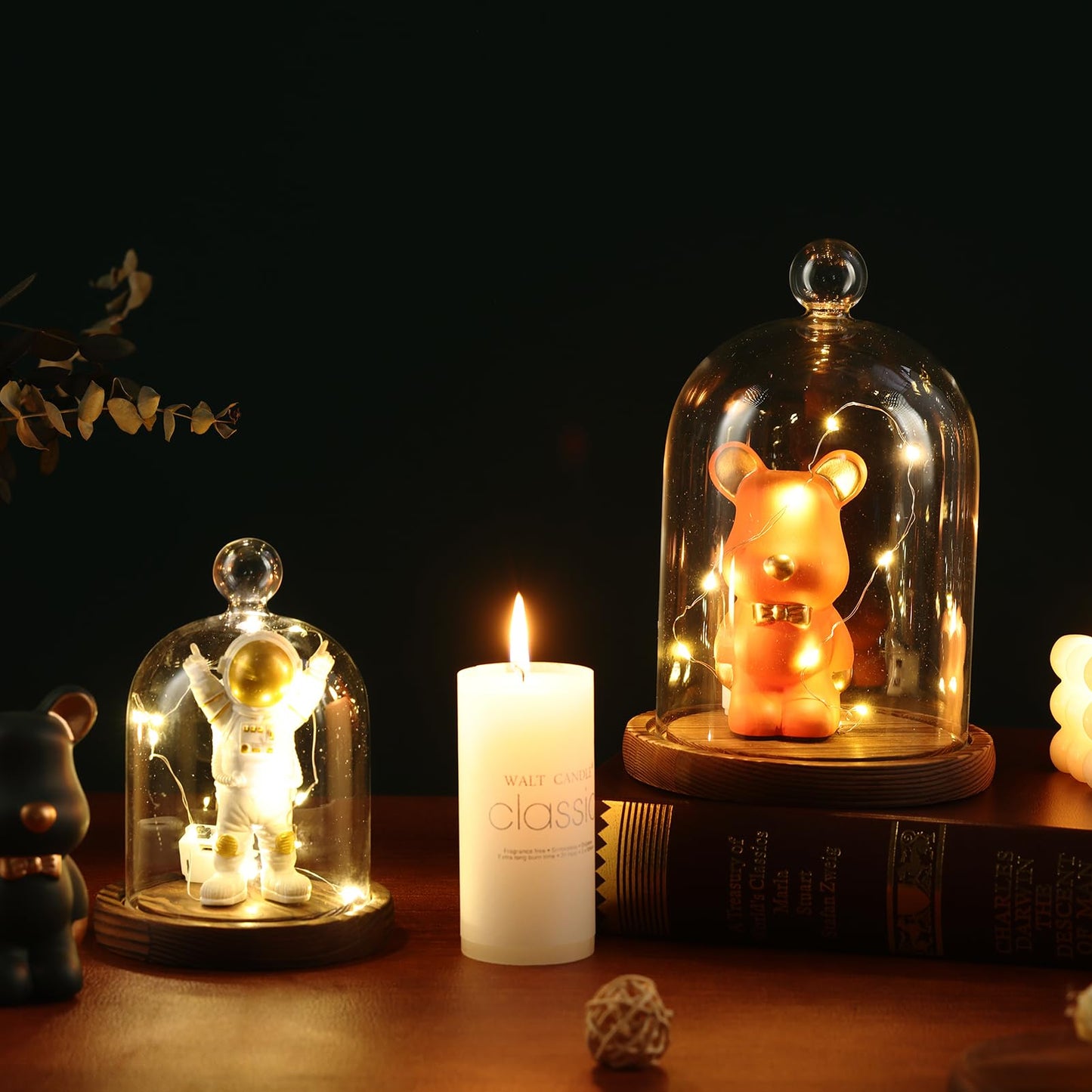 REFSAVER Glass Dome with Base,Glass Cloche Bell Jar,Display Case with Wooden Base for Plants,Collectibles (3.5 * 4.3 inches)