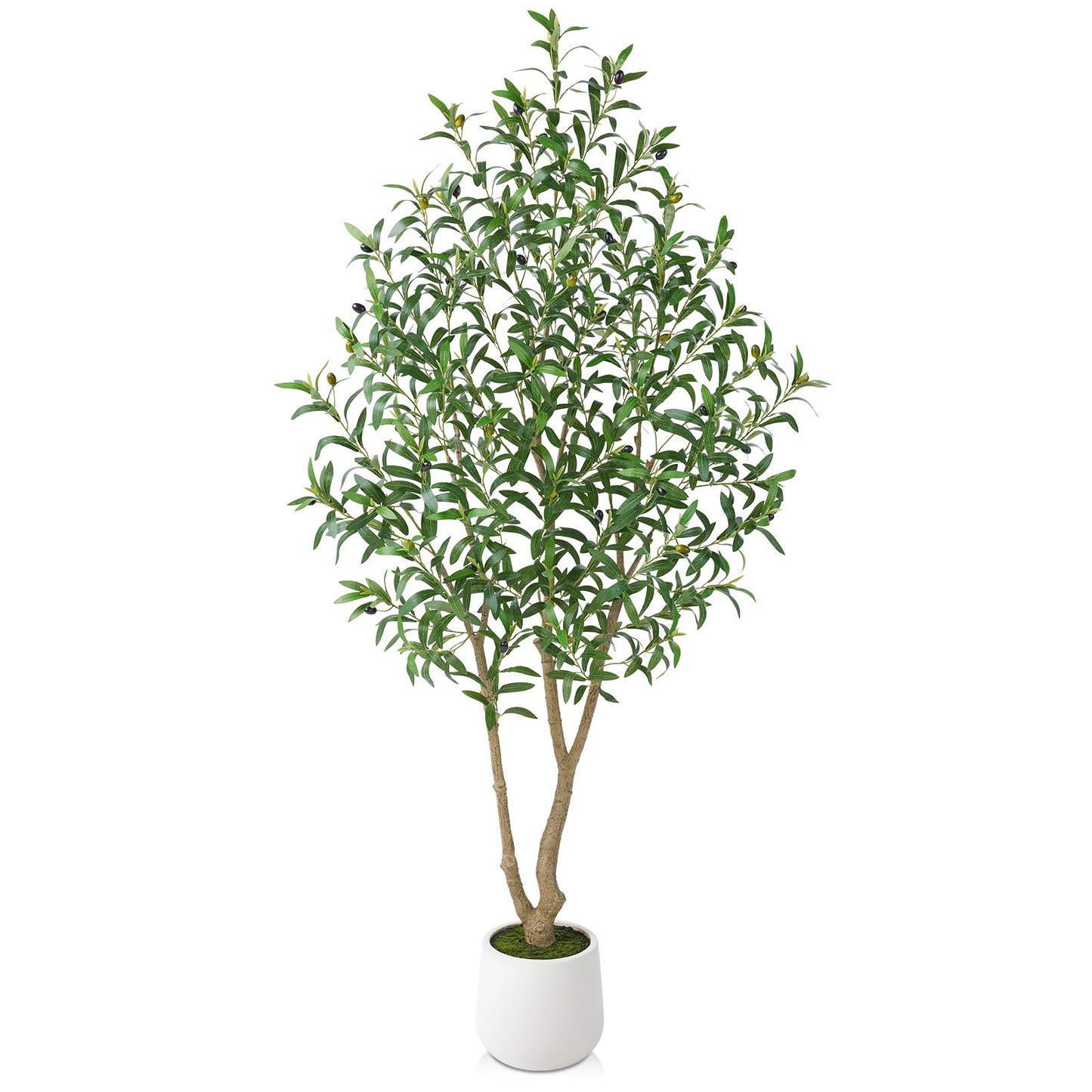 VeriNatural Artificial Olive Tree 6FT, Fake Plants Indoor - Potted Faux Olive Tree with Relistic Leaves and White Planter - Tall Faux Plant for Home Office Living Room Decor