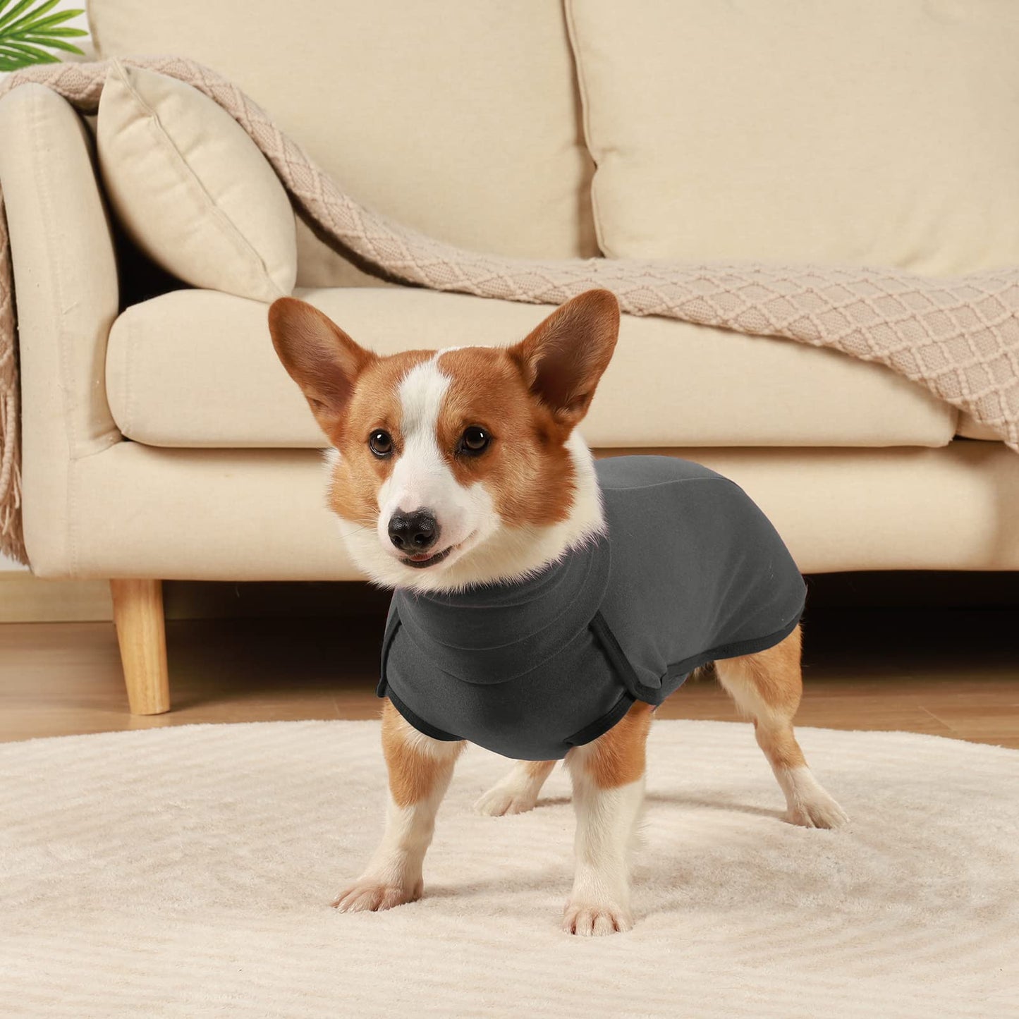 Hjyokuso Dog Jumper Fleece Vest Sweater, Warm & Lightweight Pullover Pajama Coat, Autumn Winter Cold Weather Puppy Clothes Jacket for Small Medium Large Dogs (Black 3XL)