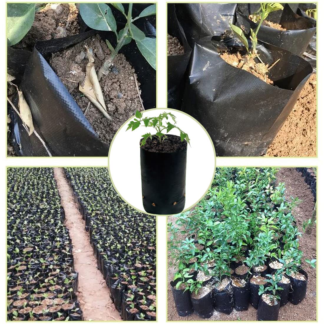 DredQcco 100PACK Plant Grow Bags,Thicken PE Seedling Bag Fruit Tree Seedling Cup Bonsai Planting Bag with Breathable Holes for Garden Black Planting Bags Nursery Bags (4.7'' Dia x 8'' H)