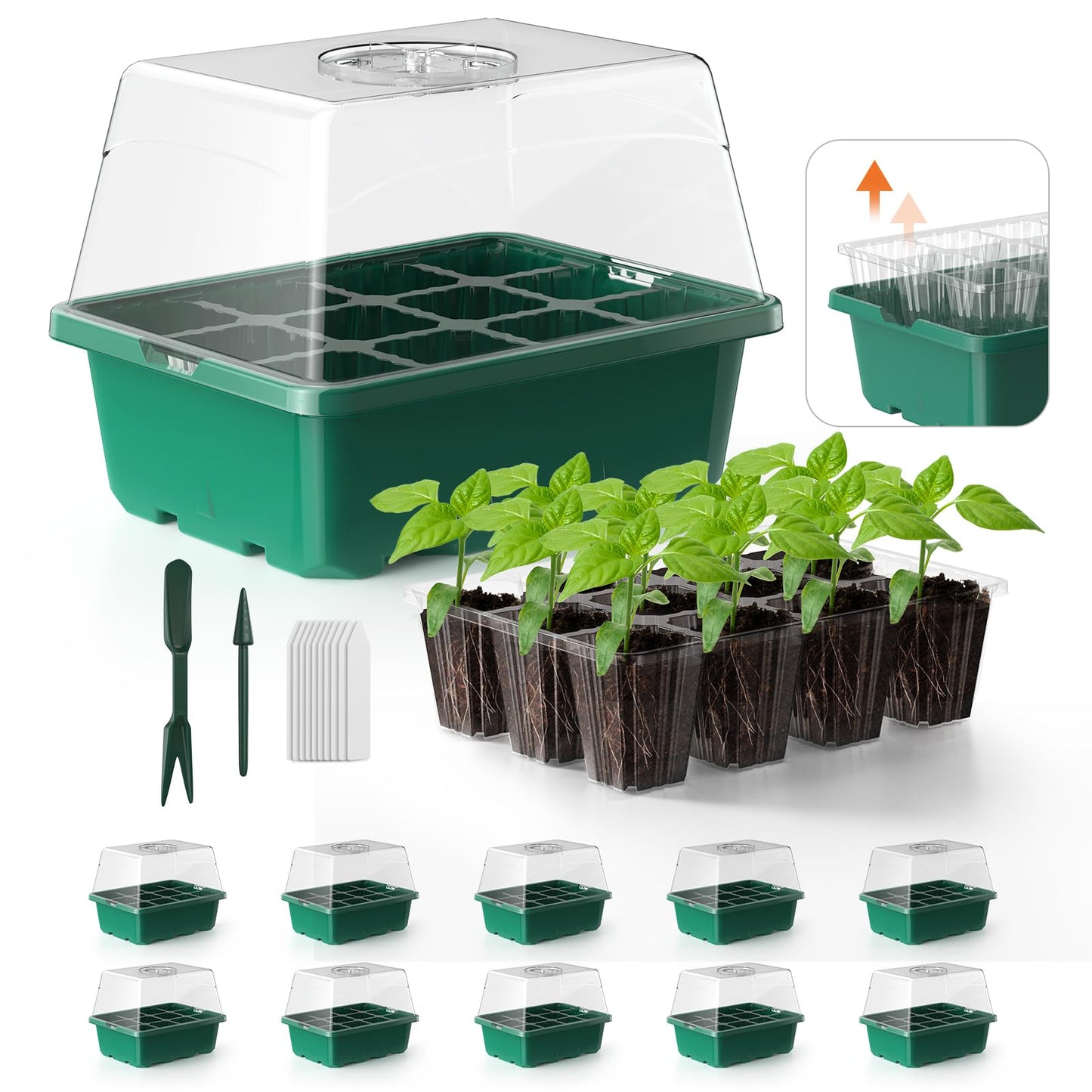 POROLIR Seed Starter Tray, 10PCS Seed Starter Kit, Seedling Starter Trays with Heightened Lids for Seed Staring, Indoor Gardening Plant Germination Trays (12 Cells per Tray) Green