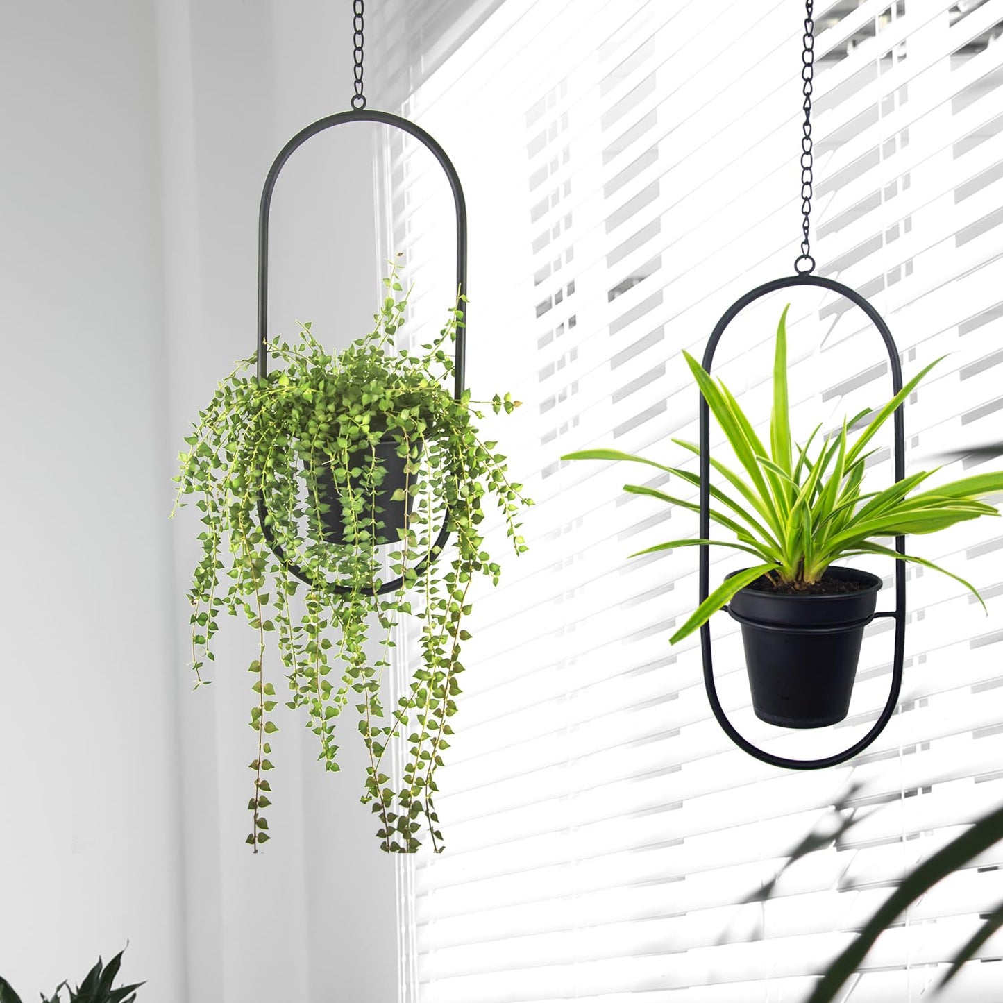 HemePaha Modern Metal Hanging Planters with 5 Inch Pots - Set of 2 Oval Geometric Plant Hangers - Black Wall and Ceiling Mount Flower Holders for Indoor and Covered Outdoor Houseplants