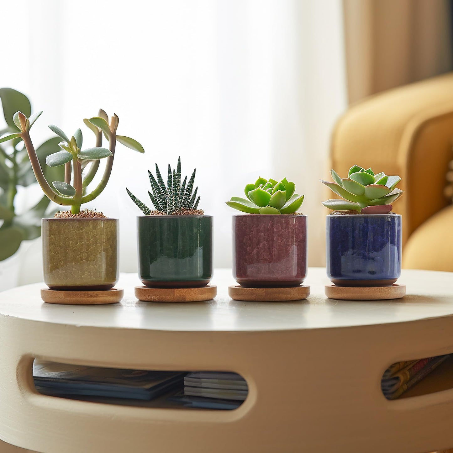 T4U 2.5 Inch Small Ceramic Succulent Planter Pot with Bamboo Saucer Set of 6, Ice Crack Glaze Porcelain Handicraft Plant Container Gift for Mom Sister Aunt Best for Home Office Desk Decoration