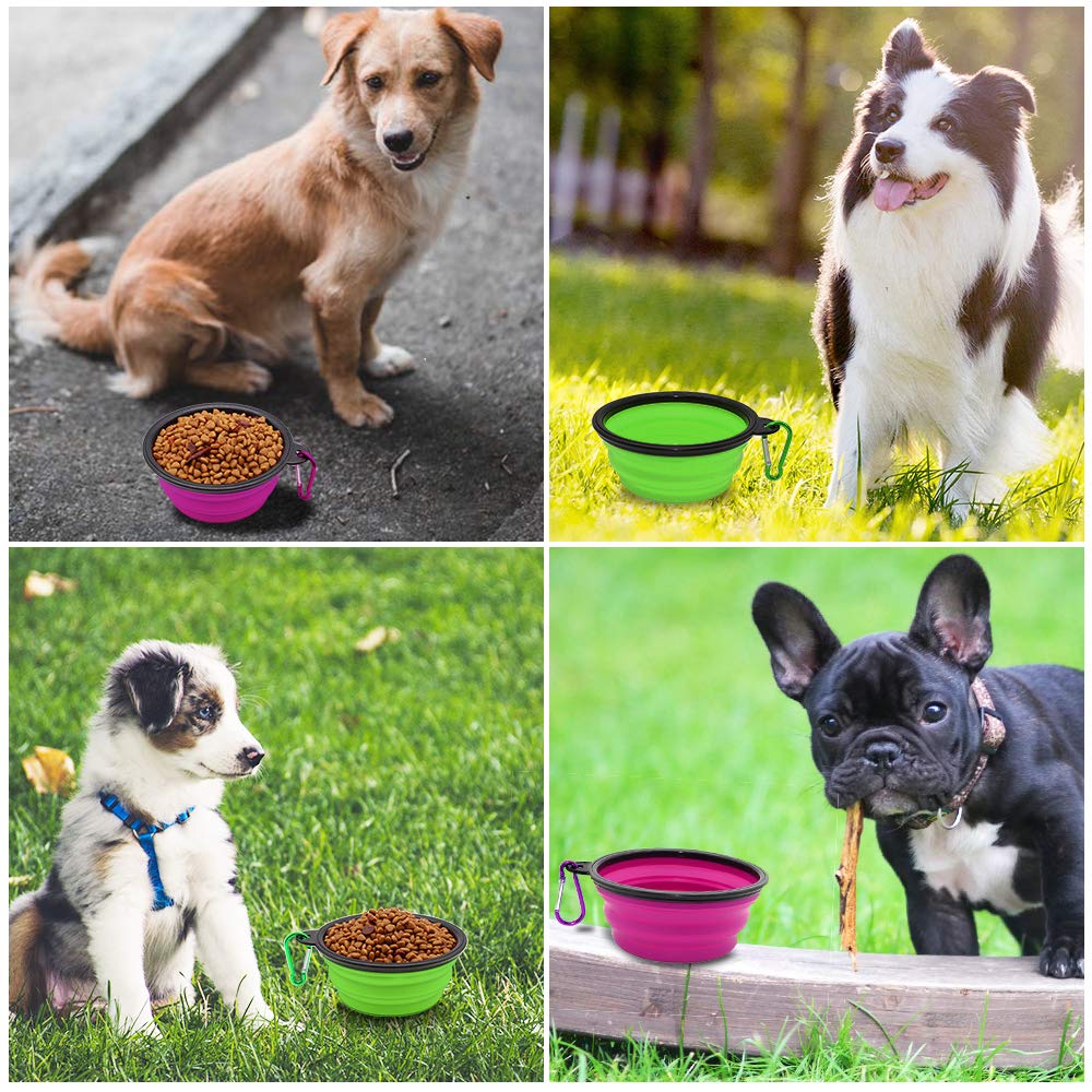 Dog Bowl Pet Collapsible Bowls, 2 Pack for Cats Dogs, Portable Pet Feeding Watering Dish for Walking Parking Traveling with 2 Carabiners (Small, Blue+Green)