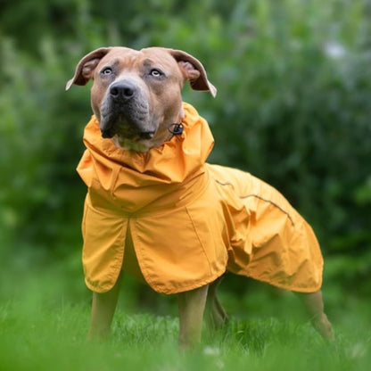 Spark Paws Dog Raincoat, Waterproof Windproof Rain Jacket, For Small Medium Large Extra Large Dogs, Reflective Breathable Full-body Coverage Dry Suit - Mustard Yellow - XL