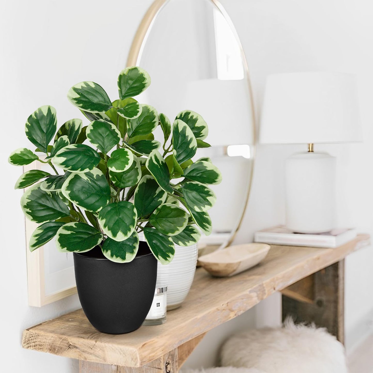 Villa Como 14.5" Artificial Plants Indoor Home Decor, Fake Potted Silk Plants for Shelves Living Room Decorative, Small Artificial Office Desk Plant in Pots, Faux Peperomia Hope Tropical House Plant