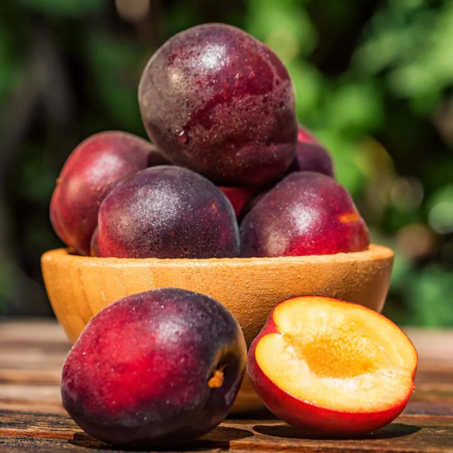 Flavor Pluot Tree Live Plant in 3 Gallon Pot, 2-3 Feet Plum Apricot Pluot Fruit Tree for Outdoor Garden or Backyard Growing, No Ship to CA