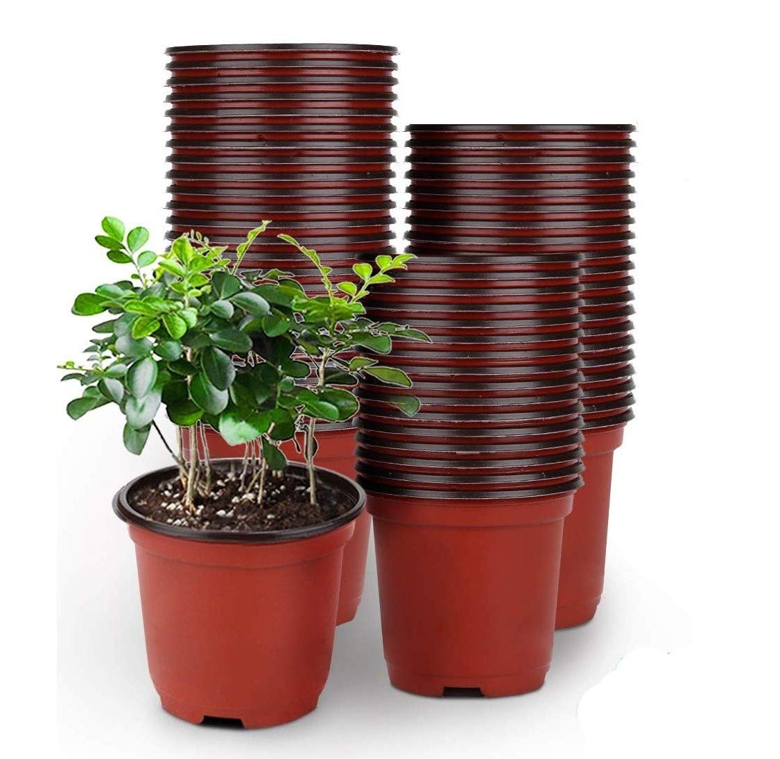 LATERN 50Pcs 15cm Plastic Plant Flower Pots Lightweight Seed Starting Pots Nursery Seedlings Pots Flower Plant Container (15 x 13cm)