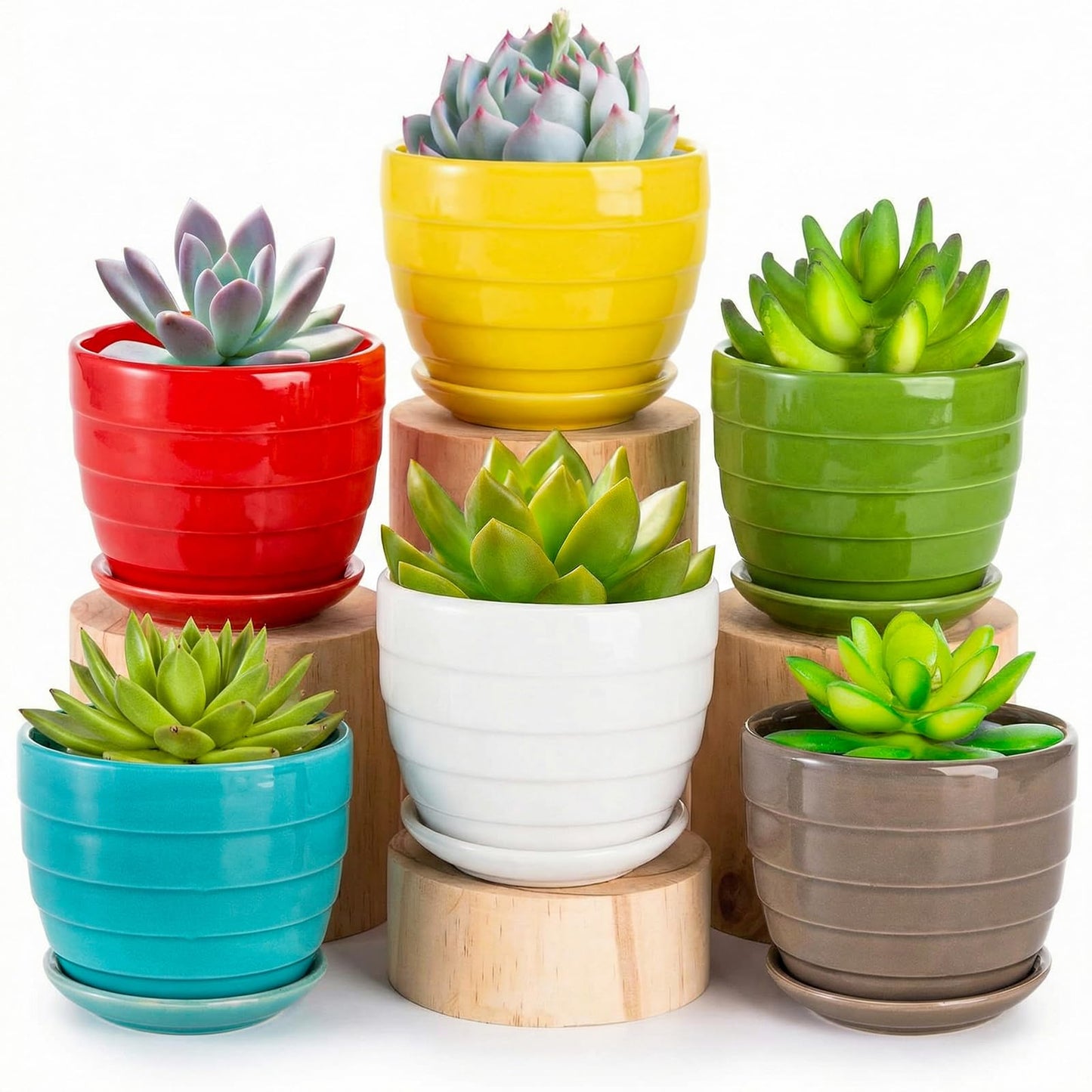 Elsjoy 6 Pack 4.3 Inch Ceramic Succulent Pots with Drainage and Attached Saucer, Small Decorative Succulent Planter Cute Ceramic Flower Pots for Home, Garden