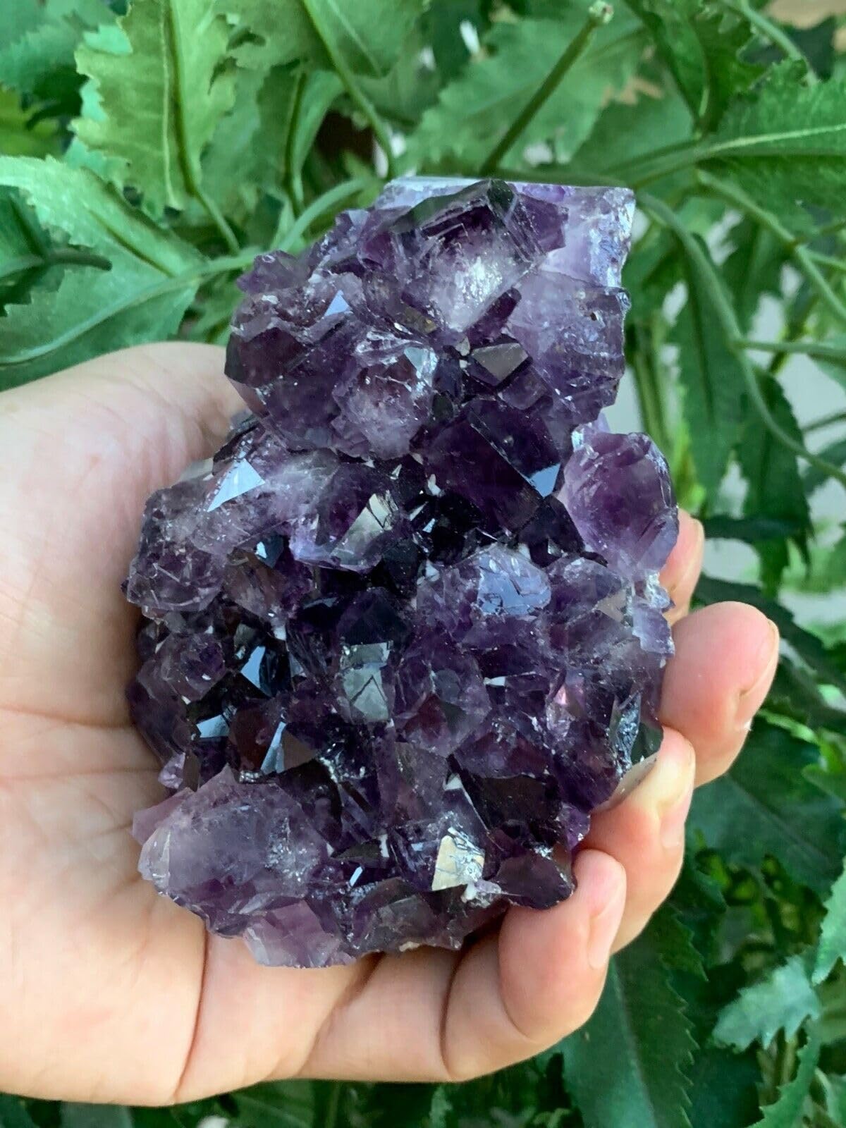 GAF TREASURES Deep Purple Amethyst Cluster, Natural Amethyst Geode, Amethyst Druze, Raw Amethyst Crystal (0.5-1 lb)