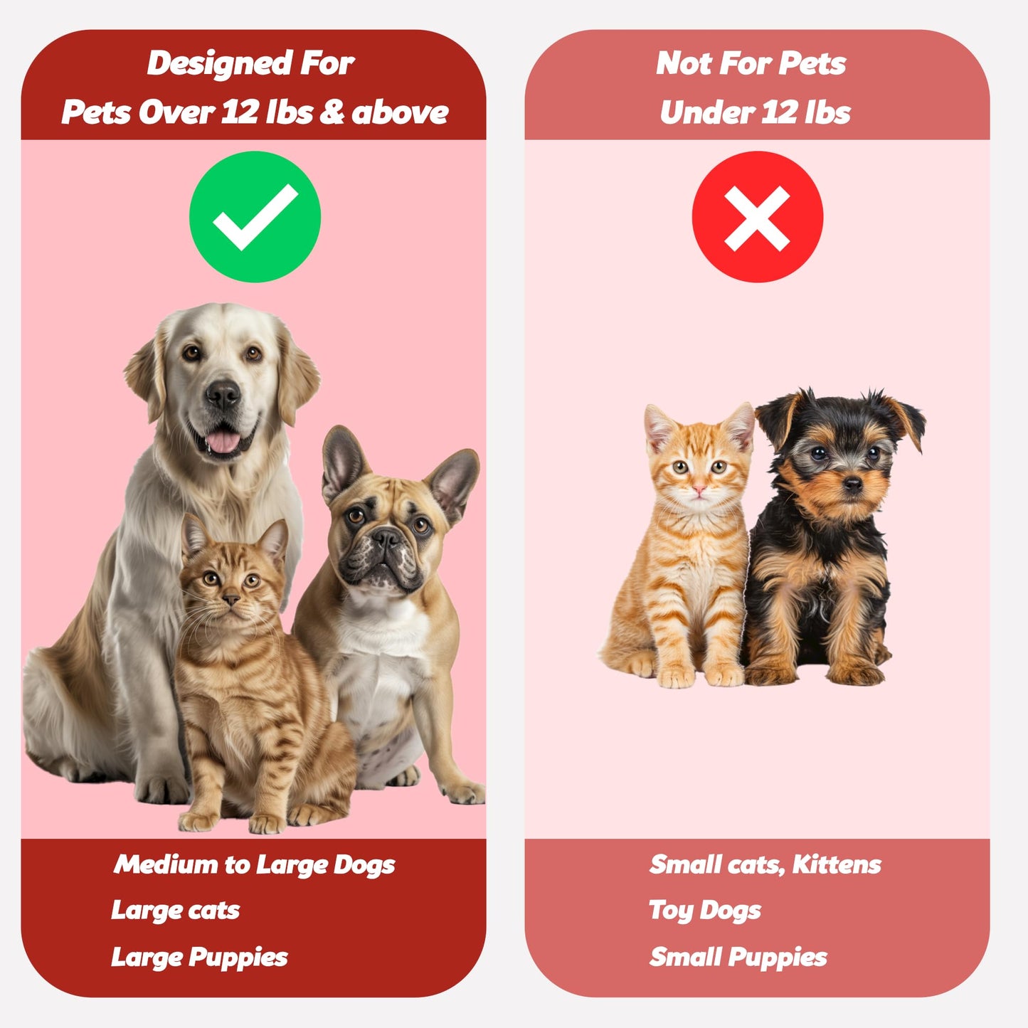 Pet Toothbrush for Dogs, Cats with Soft Bristles - Easy Teeth Cleaning & Dental Care, Non Slip Dual Head Dog Toothbrush