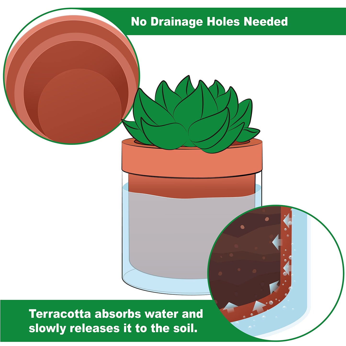 Phoenix Vine 4 Inch Self Watering Planter Pot, Terracotta Clay Pot with Glass Reservoir for Indoor Plants, Herbs, Flowers, Set of 1, 52-A-E-1
