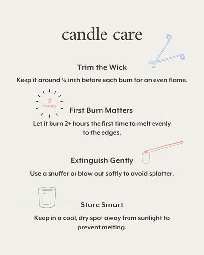 Literie Clueless Inspired Scented Candle: Balls Flying at My Nose - Citrus and White Cotton Scent, 9oz, 50 Hour Burn, Vegan Soy & Coconut Blend Candle for Home Decor, Gift for Women & Men