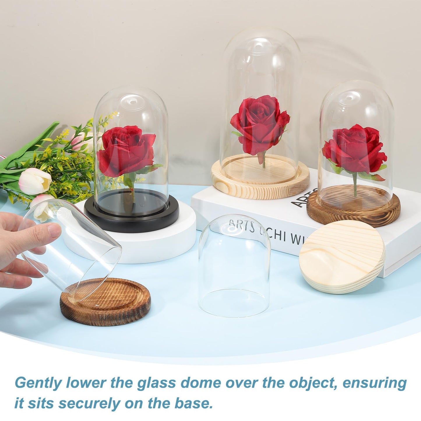 uxcell Glass Cloche Display Dome, 4.7" x 3.5" Glass Dome Display Case Wood Base Tabletop Jar Case Decorative Bell Jar for Plant Home Decor Office Wedding Party, Natural