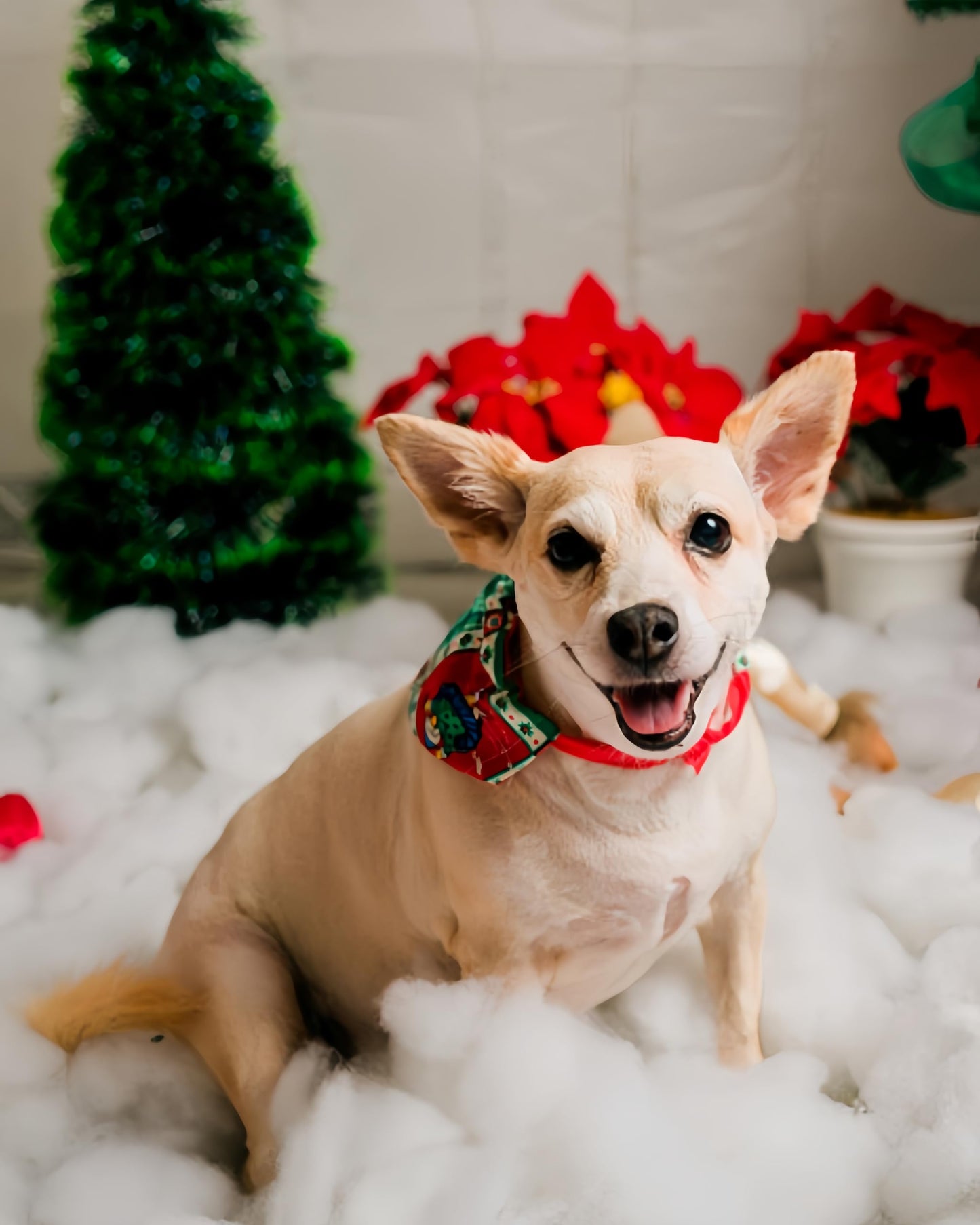 Pextian Christmas Fake Snow Decor, Artificial Snow Fluff Decoration, Cotton Snow for Winter Village, Flame Resistant Indoor Snow Blanket for Nativity, Christmas Decoration(5.6 OZ)