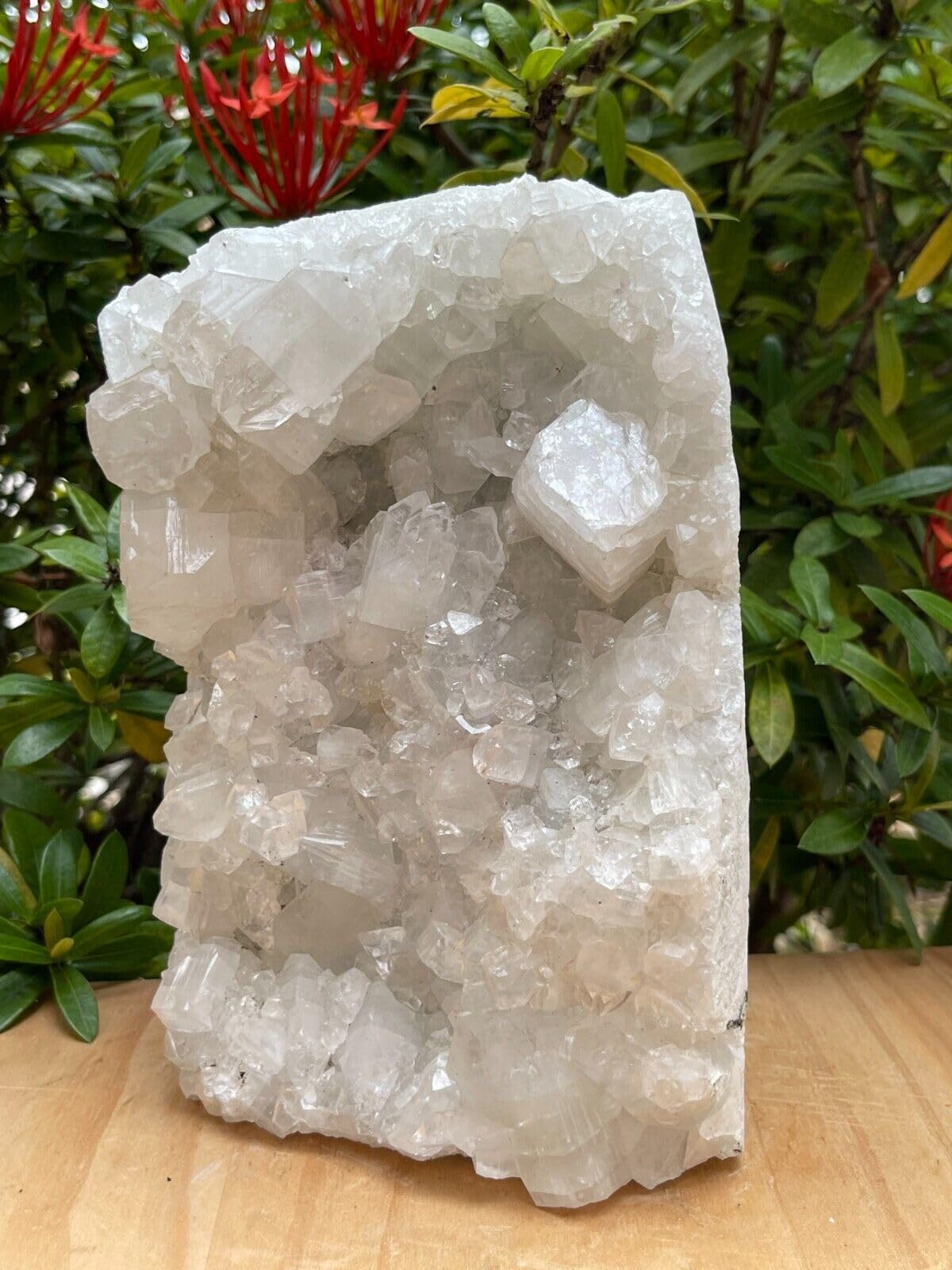 GAF TREASURES Apophyllite Cluster Geode Free Standing | Natural Apophyllite Crystal Display Piece | 0.5–9 lbs | Healing, Decor & Collectible Mineral
