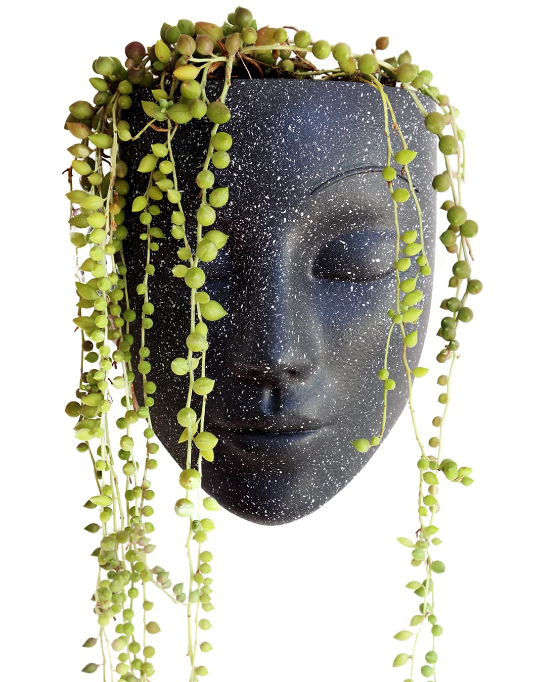 Bossa Linda Wall Planter | Unique Face Planters Pots - Plant Gifts for Indoor Plant Lovers Gift Ideas - Succulent Plant Gift - Tranquilo Black