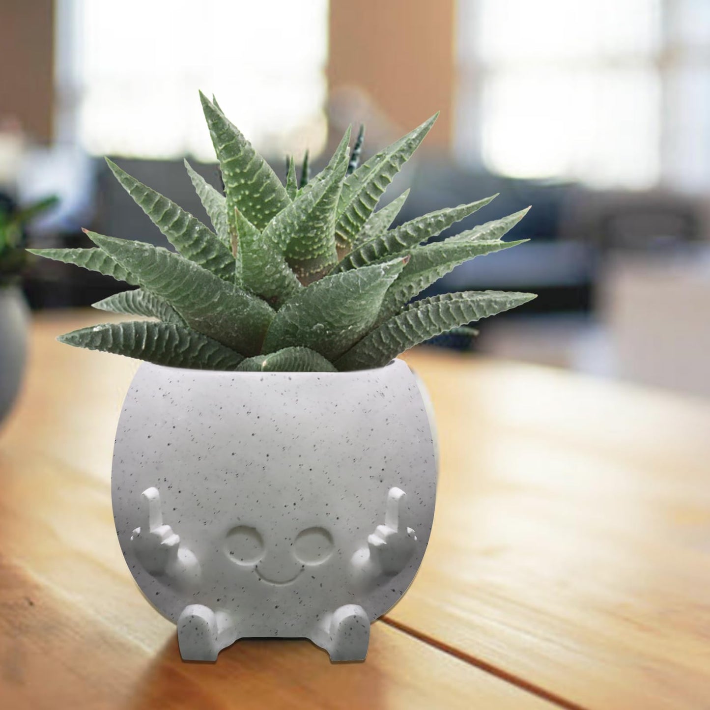 Toparad Smiling Plant Pot with Middle Fingers Up, Face Planter Pot Resin Flower Planters for Indoor Outdoor Plants Succulent Pots for String of Pearls Plant Live Gift Ideas for Mother (White)