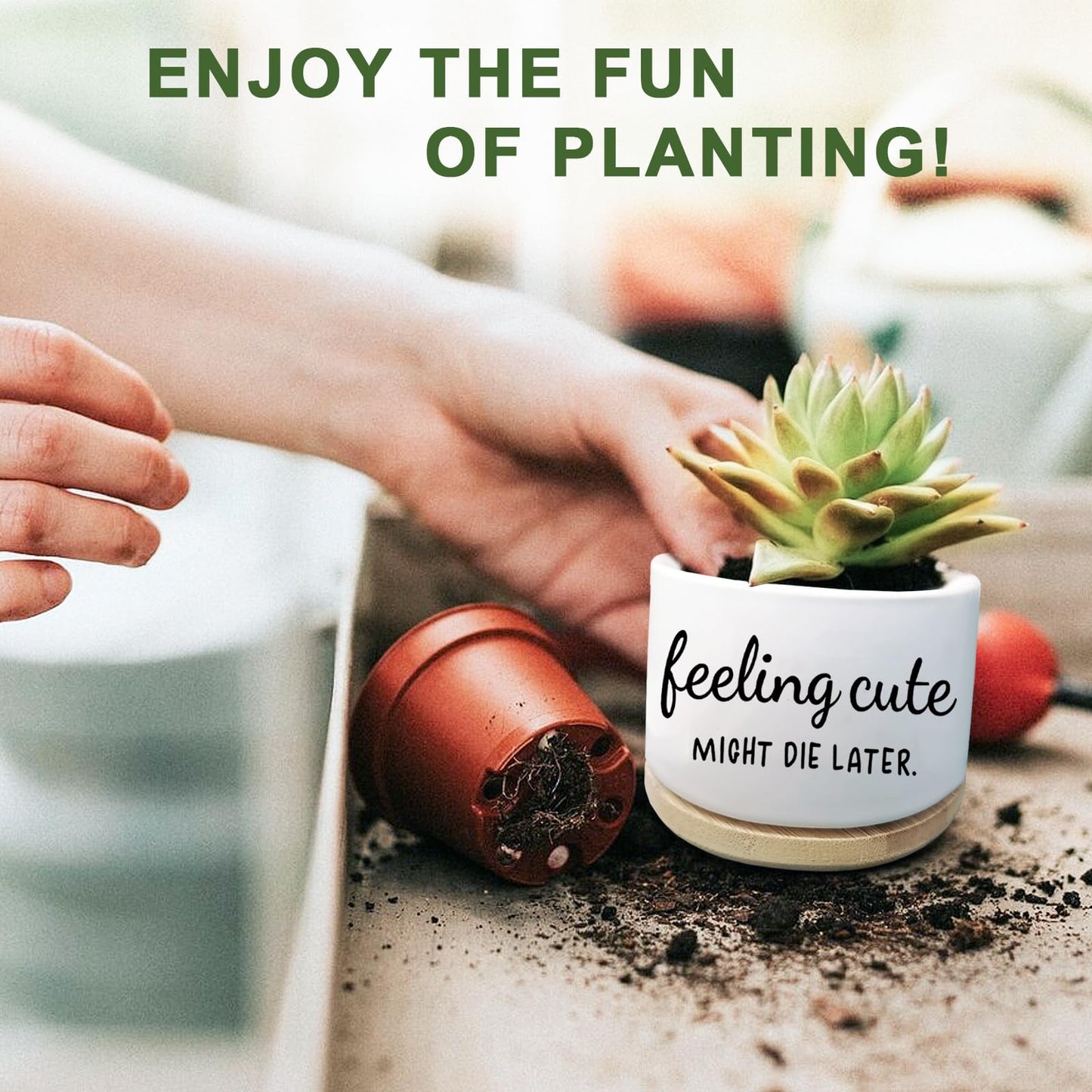 Aryabtya Funny Succulent Planter, Flower Cactus Plant Pot for Indoor Plants, Cute Planter Pots with Drainage and Tray, Office Home Windowsill Decor Planter Gift for Women Men (No Plants)