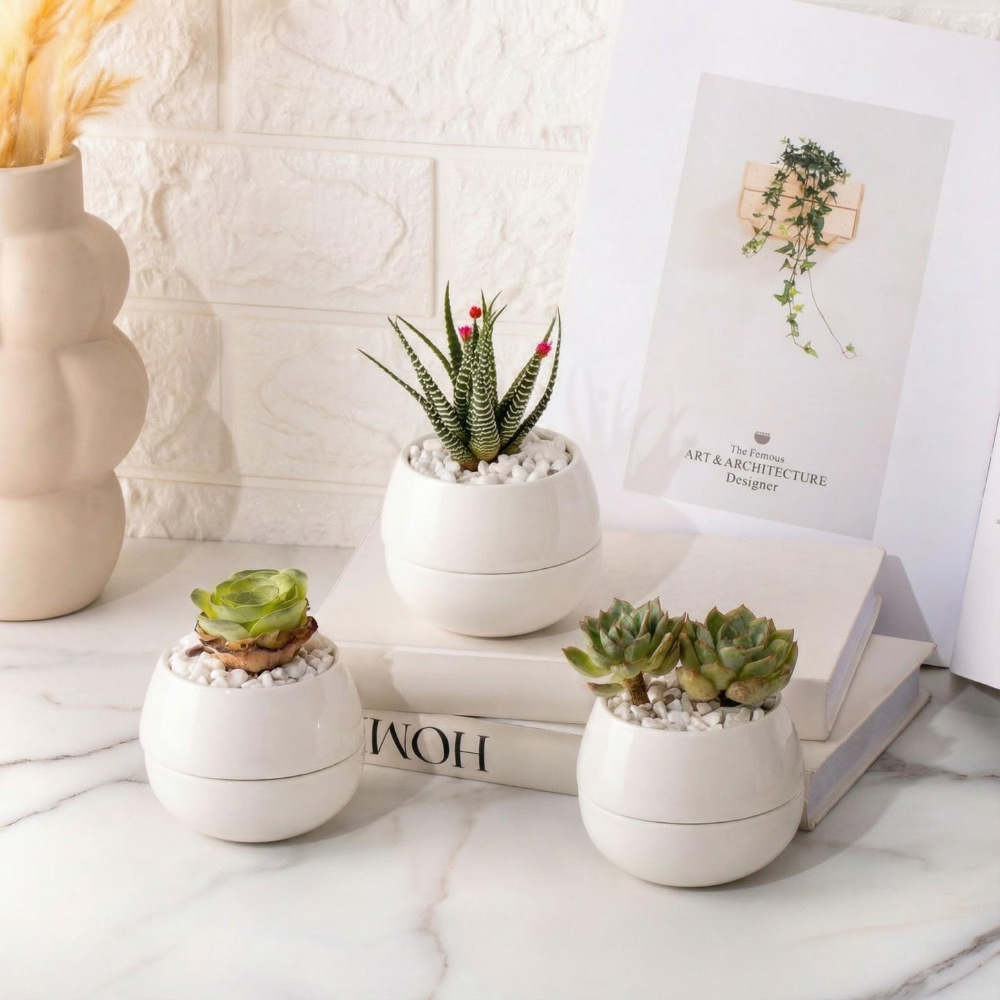 Willowy 3.5 Inch Small Succulent Pots - 3pk, Mini/Small White Ceramic Succulent Pots - No Plants Included