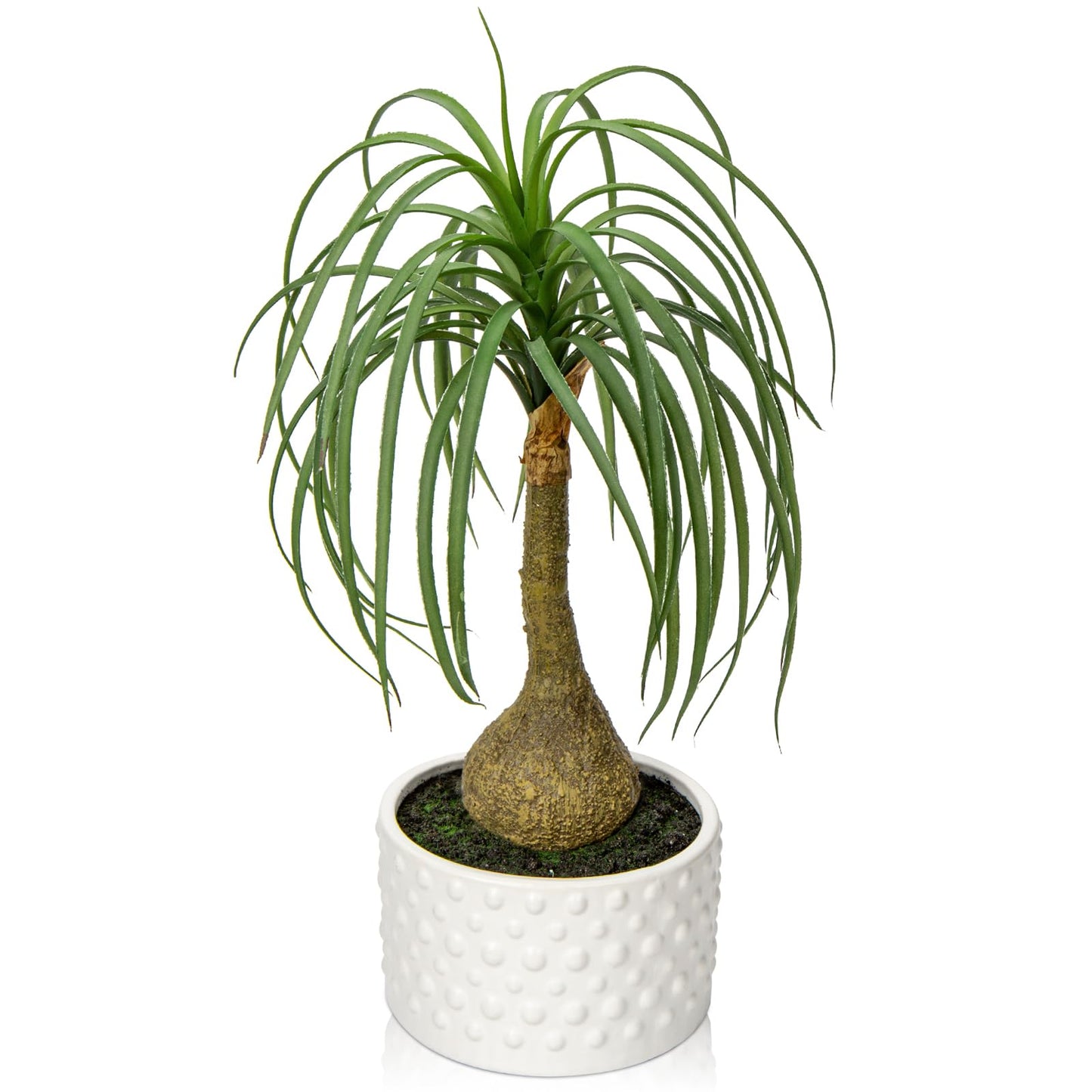 Hollyone Fake Plants Artificial Potted Plants Artificial Ponytail Palm Plant in Pots Faux Bonsai Plants for Office Table Desk Shelf Bathroom Bedroom Greenery Decoration Room Indoor Home Decor