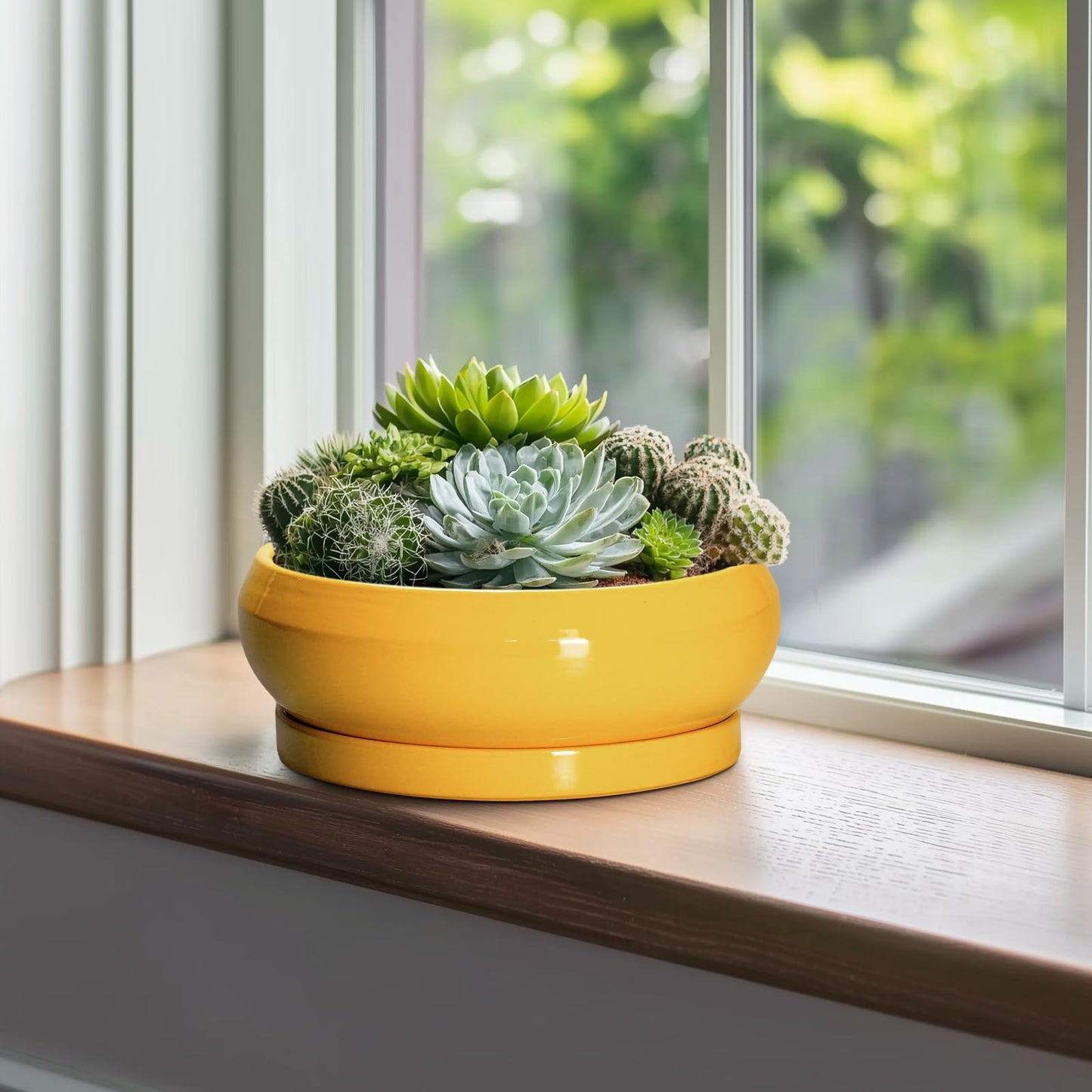EPFamily Succulent Pots 10 Inch - Ceramic Bonsai Pots with Drainage Hole and Tray, Shallow Plant Pot Indoor Outdoor, Modern Bonsai Tree Pot, Round Planter Bowl, Home Decor, Housewarming Gift, Yellow