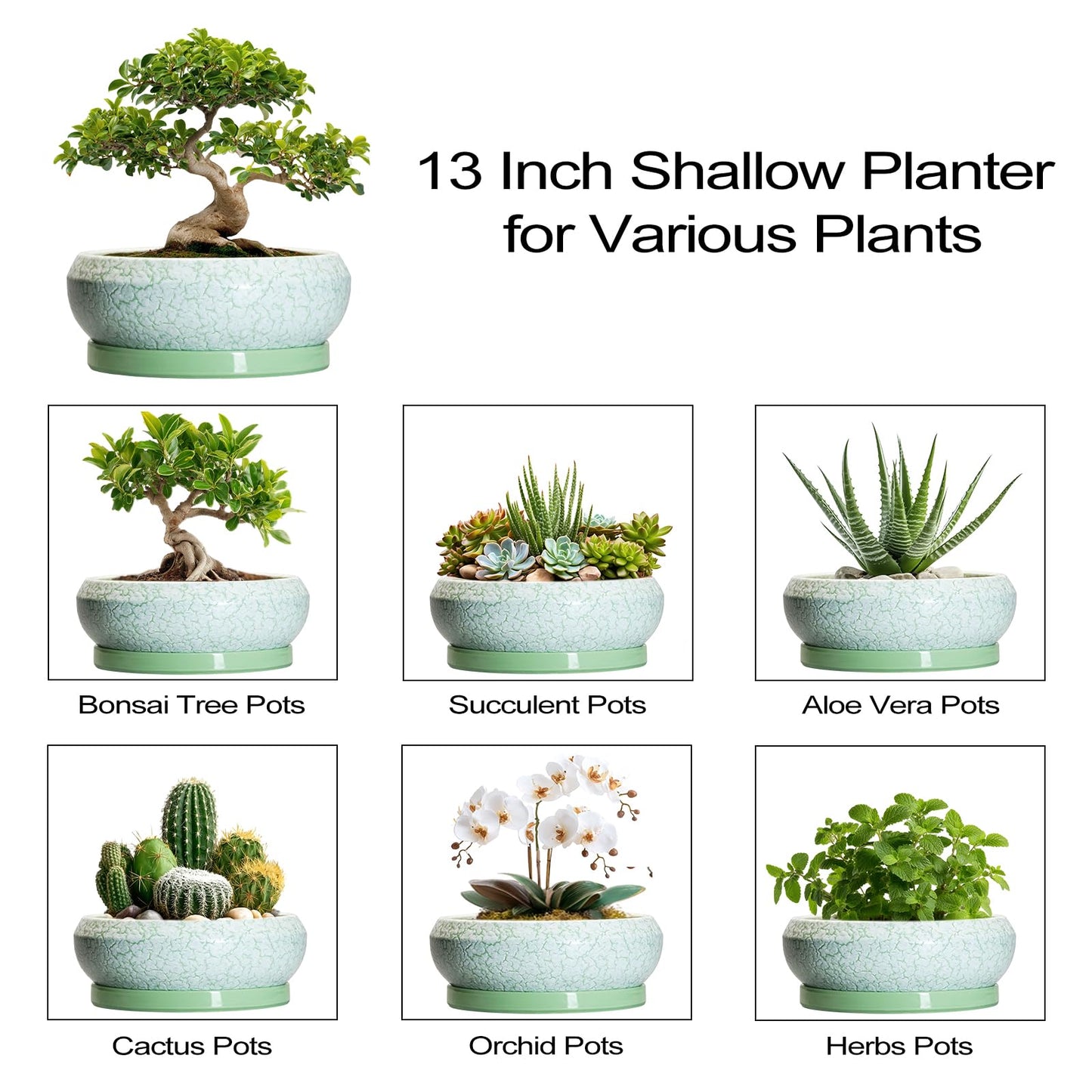 EPFamily Bonsai Pots - 13 Inch Ceramic Succulent Pots for Indoor Outdoor, Large Shallow Planter with Drainage Hole and Saucer, Round Flower Succulent Planter, Patio Decor, Gifts for Women, Green