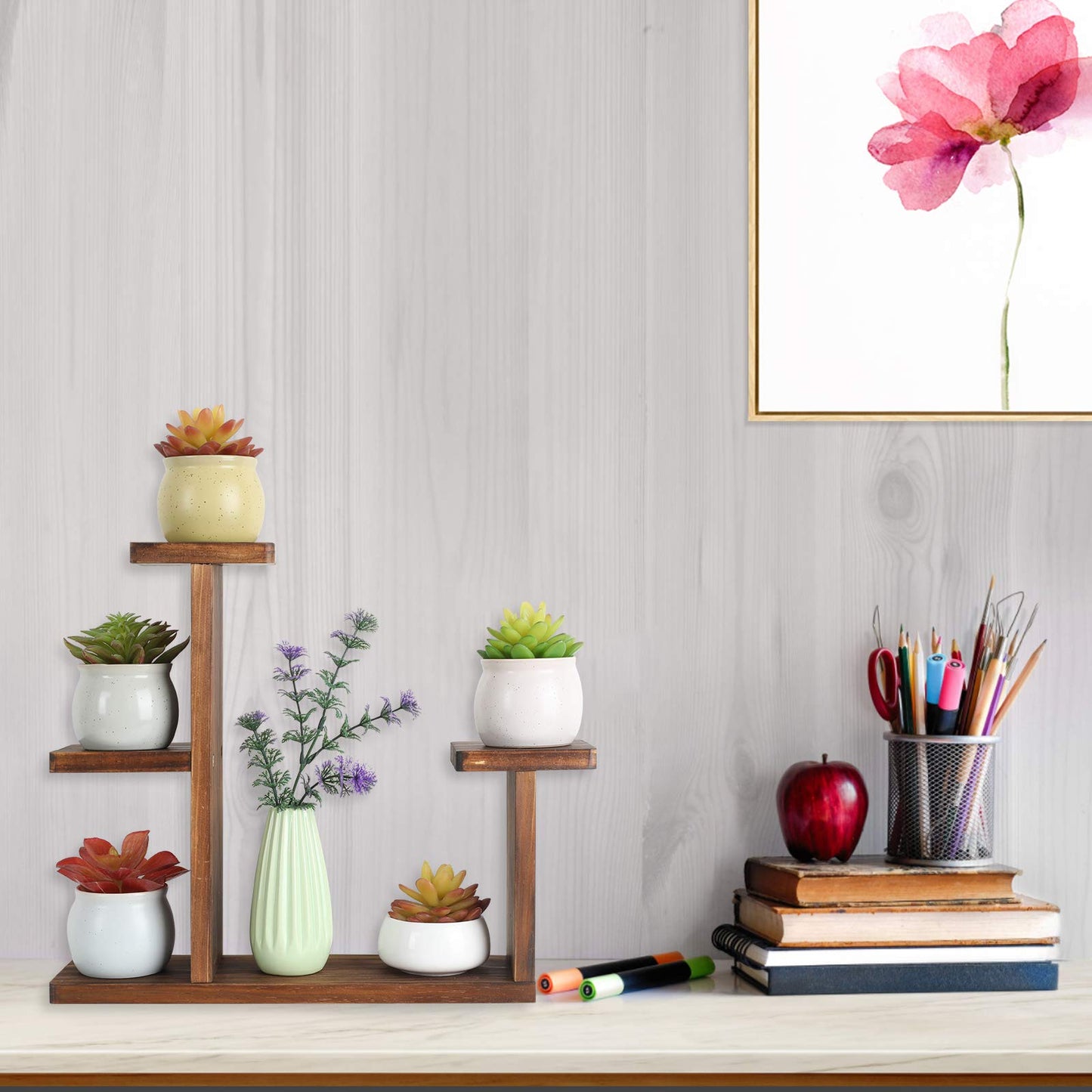 COOGOU Wood Desktop Plant Stand Indoor Small Windowsill Flower Shelf Tabletop Plant Shelf Holder Display Rack for Succulent Herb in Living Room Office