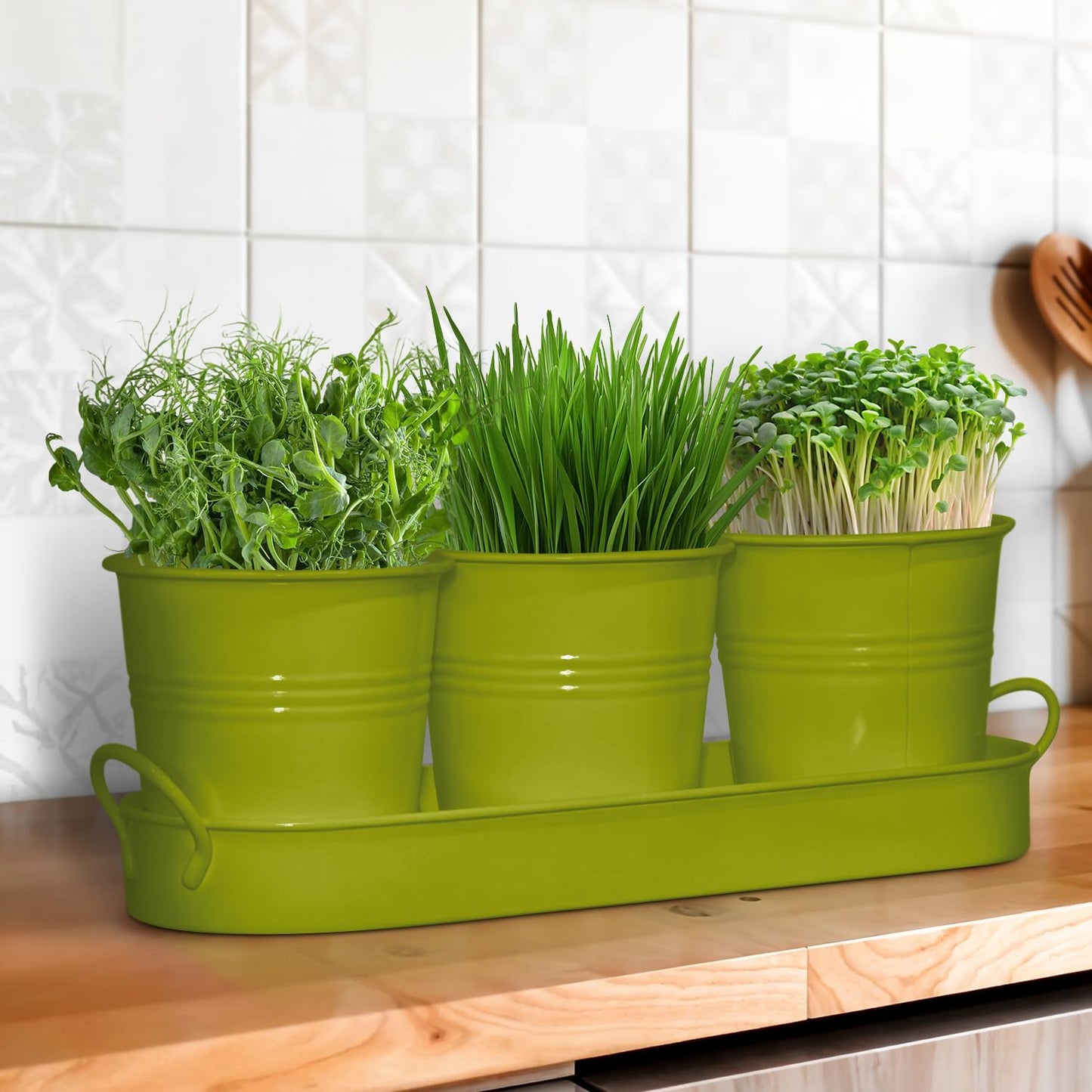 Plexon Herb Planter Indoor Garden Set of 3 with Tray, Metal Herb Pots for Indoor Plants, Round Kitchen Garden Kit Ideal for Windowsill Planter or Countertop, Green Powder Coated