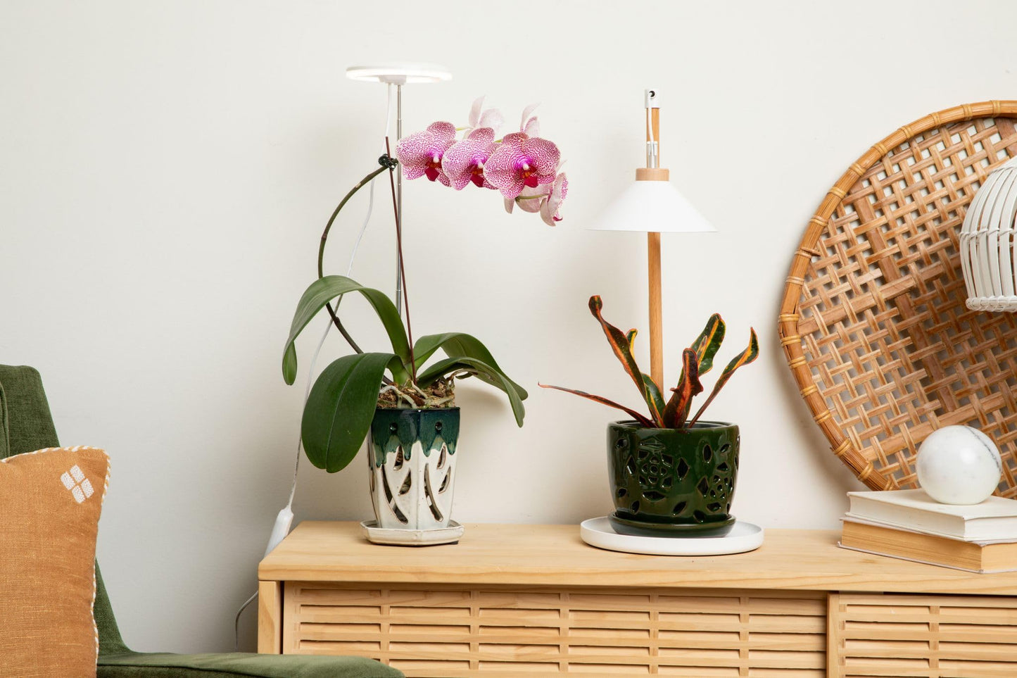 rePotme Grow Light for Orchids, Lumina Orchid, Full Spectrum Plant Light with Adjustable Height and Automatic Timer (White)