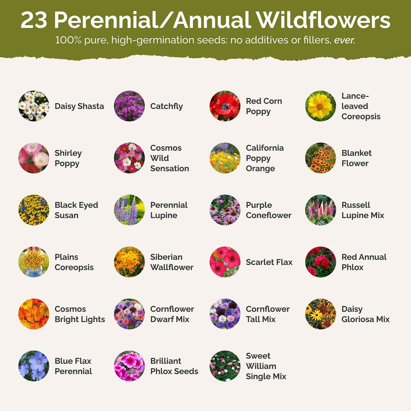 Eden Brothers Northeast Wildflower Mixed Seeds for Planting, 1 lb, 480,000+ Seeds with Cosmos, Candytuft, Shasta Daisy | Attracts Pollinators, Plant in Spring or Fall, Zones 3, 4, 5, 6, 7, 8, 9, 10