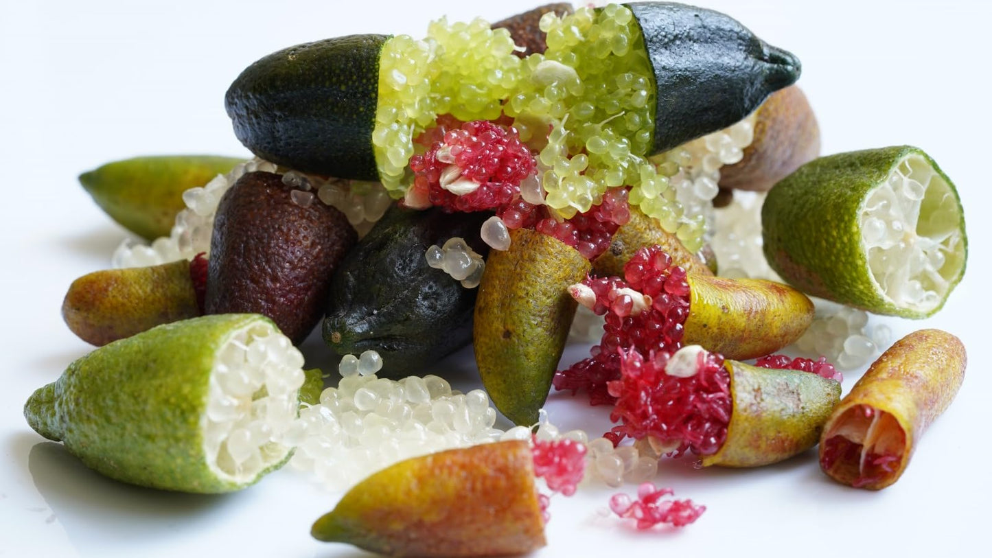 New Fresh 80pcs Finger Lime Fruit Seeds Generic