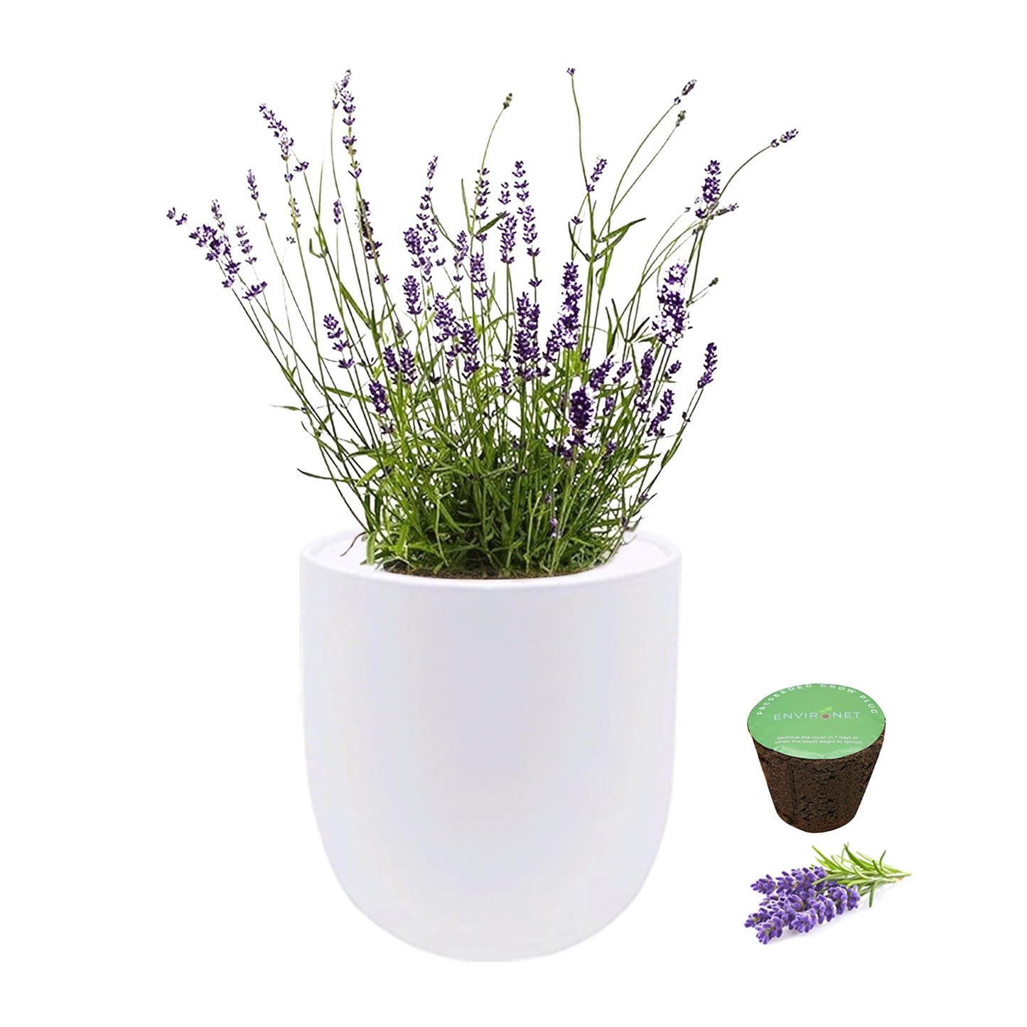 Environet Hydroponic Herb Growing Kit, Self-Watering Kitchen Herb Garden Starter Kit with Organic Seeds (Lavender)